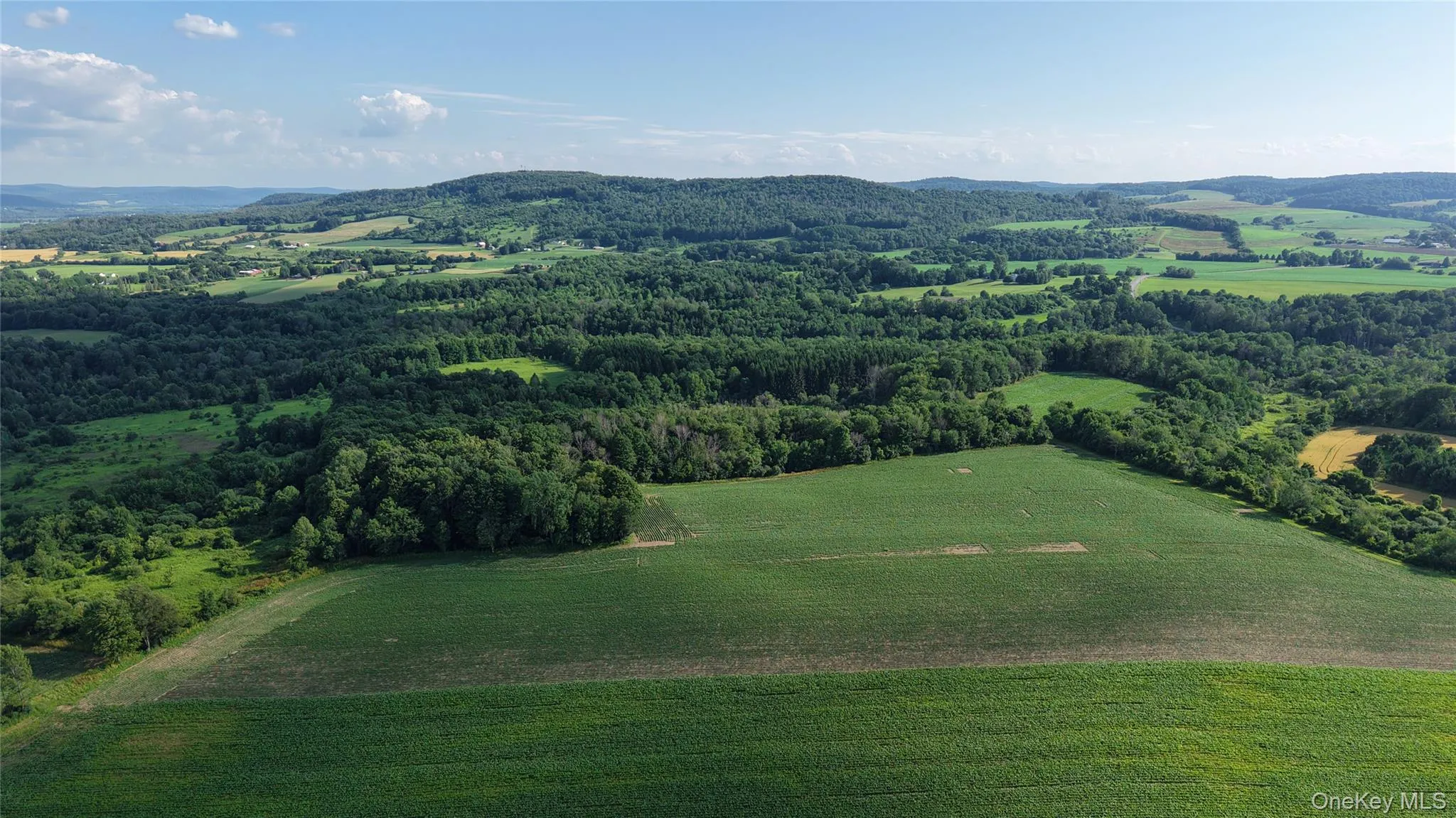 9339 Crooked Hill Road, Out Of Area, NY, 4 Bedrooms Bedrooms, 10 Rooms Rooms,1 BathroomBathrooms,Residential,For Rent,Crooked Hill,0,993608 9339 Crooked Hill Road, Out Of Area, NY, 4 Bedrooms Bedrooms, 10 Rooms Rooms,1 BathroomBathrooms,Residential,For Rent,Crooked Hill,0,993608