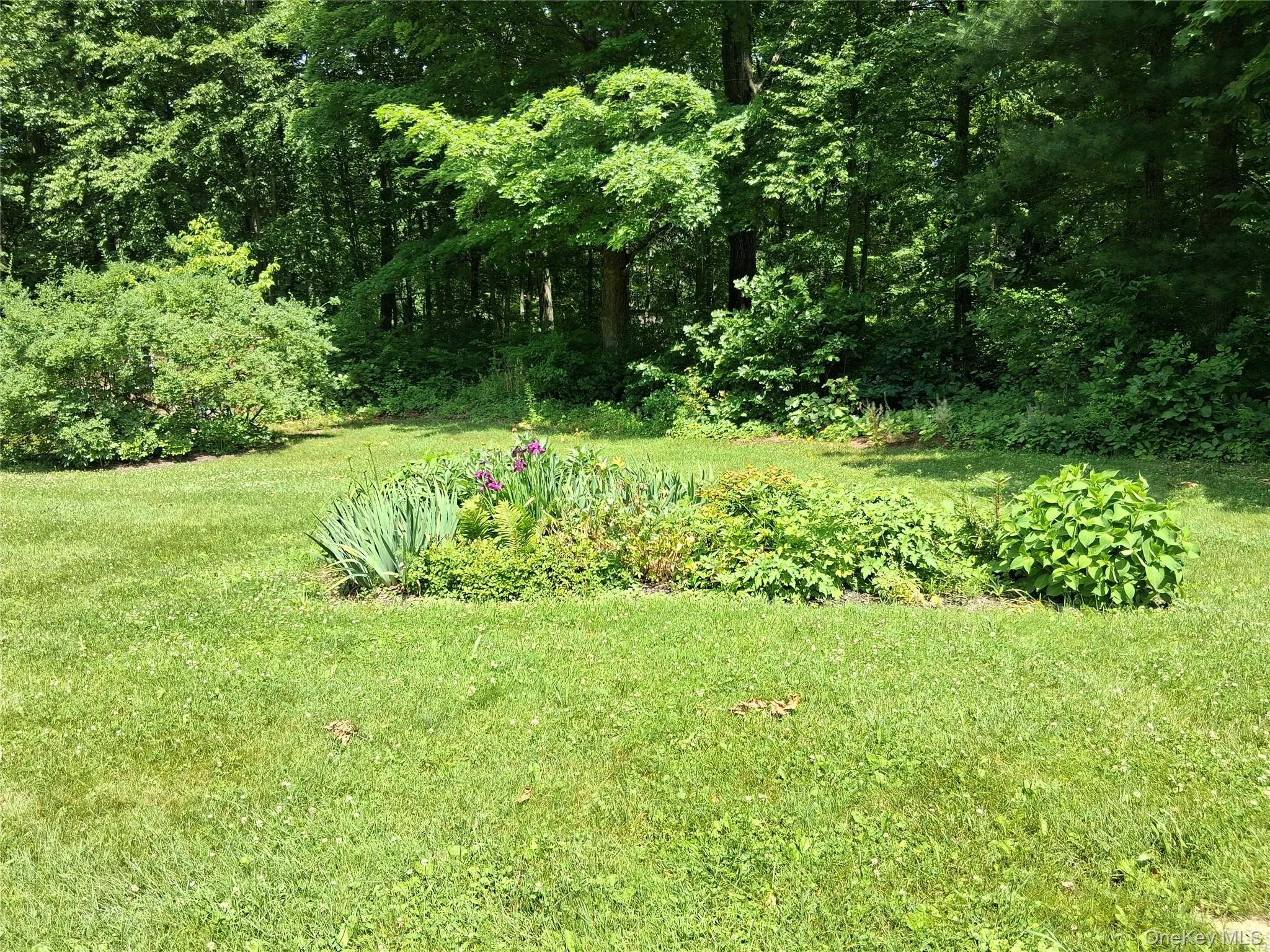 60 Stissing Avenue, Pine Plains, NY, 3 Bedrooms Bedrooms, 5 Rooms Rooms,2 BathroomsBathrooms,Residential,For Rent,Stissing,0,993638 60 Stissing Avenue, Pine Plains, NY, 3 Bedrooms Bedrooms, 5 Rooms Rooms,2 BathroomsBathrooms,Residential,For Rent,Stissing,0,993638