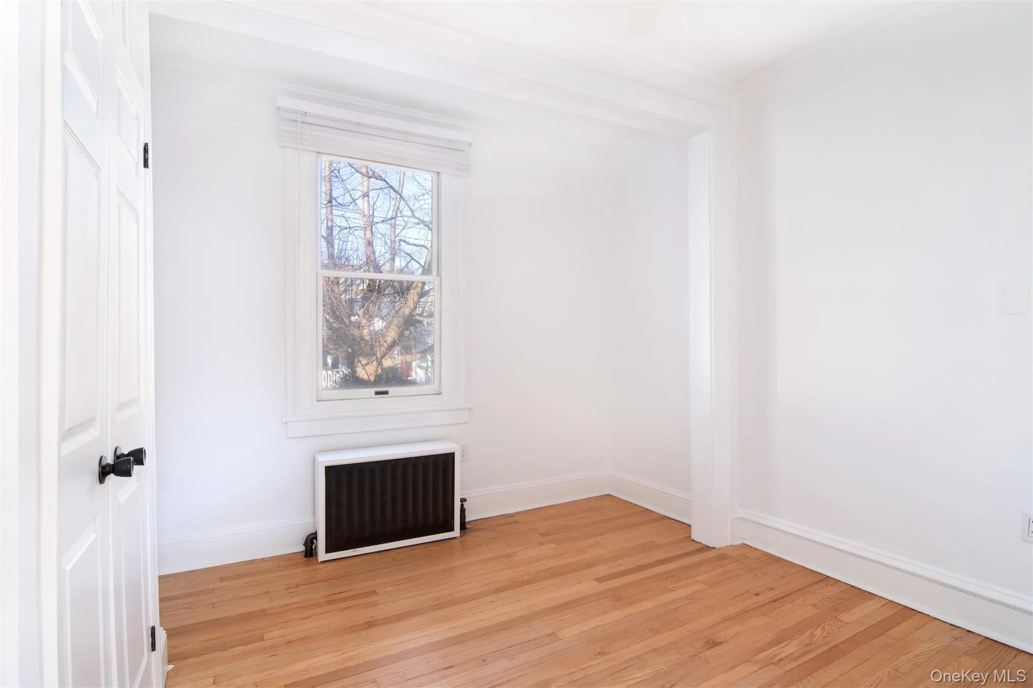 Bedroom featuring radiator and light hardwood flooring Bedroom featuring radiator and light hardwood flooring