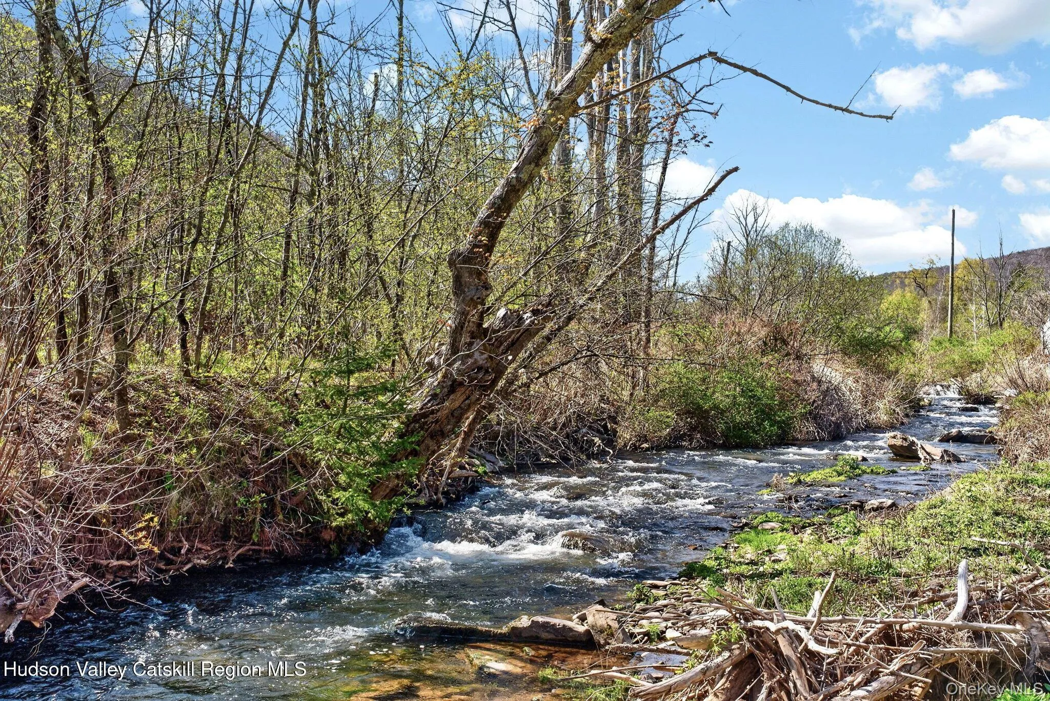 8643 New York Route 28, Shandaken, NY, 7 Bedrooms Bedrooms, 23 Rooms Rooms,5 BathroomsBathrooms,Residential,For Rent,New York Route 28,0,993710 8643 New York Route 28, Shandaken, NY, 7 Bedrooms Bedrooms, 23 Rooms Rooms,5 BathroomsBathrooms,Residential,For Rent,New York Route 28,0,993710