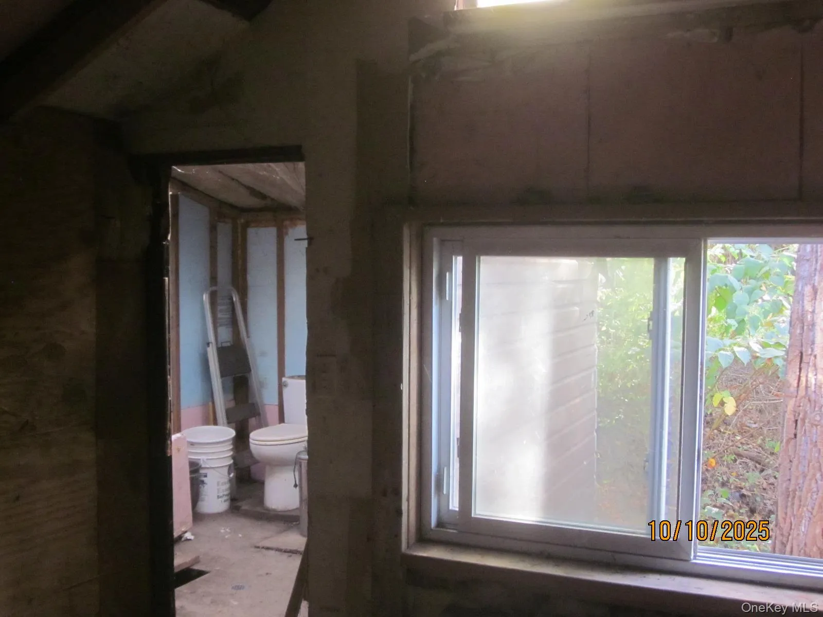 11 Woodland Circle, Monroe, NY, 2 Bedrooms Bedrooms, 4 Rooms Rooms,1 BathroomBathrooms,Residential,For Rent,Woodland,0,993793 11 Woodland Circle, Monroe, NY, 2 Bedrooms Bedrooms, 4 Rooms Rooms,1 BathroomBathrooms,Residential,For Rent,Woodland,0,993793