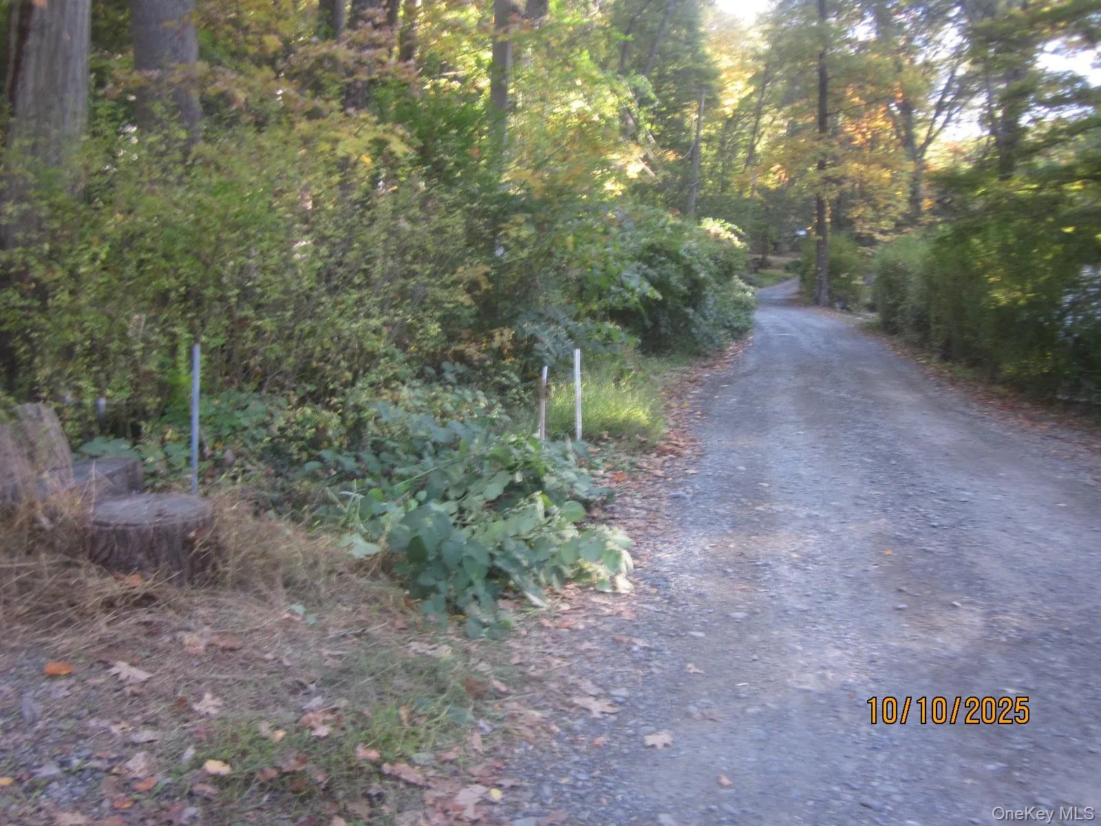 11 Woodland Circle, Monroe, NY, 2 Bedrooms Bedrooms, 4 Rooms Rooms,1 BathroomBathrooms,Residential,For Rent,Woodland,0,993793 11 Woodland Circle, Monroe, NY, 2 Bedrooms Bedrooms, 4 Rooms Rooms,1 BathroomBathrooms,Residential,For Rent,Woodland,0,993793