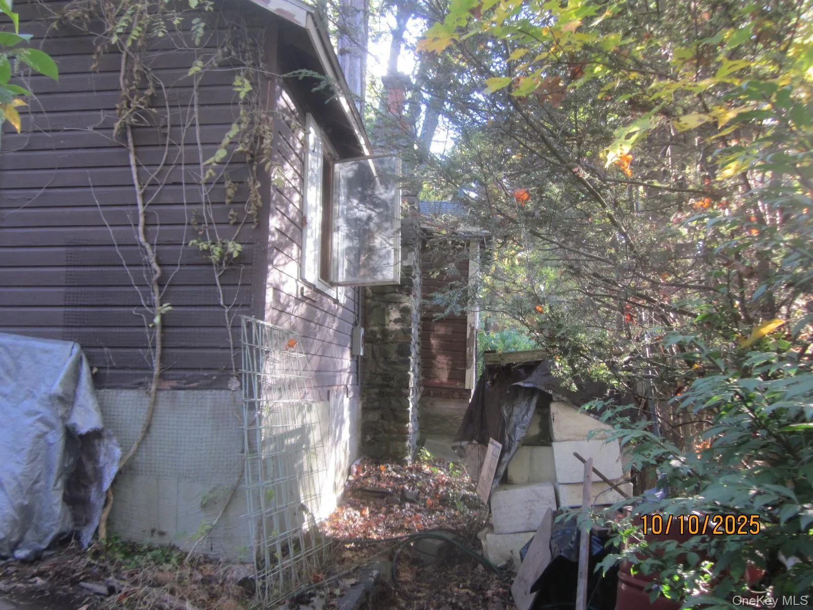 11 Woodland Circle, Monroe, NY, 2 Bedrooms Bedrooms, 4 Rooms Rooms,1 BathroomBathrooms,Residential,For Rent,Woodland,0,993793 11 Woodland Circle, Monroe, NY, 2 Bedrooms Bedrooms, 4 Rooms Rooms,1 BathroomBathrooms,Residential,For Rent,Woodland,0,993793