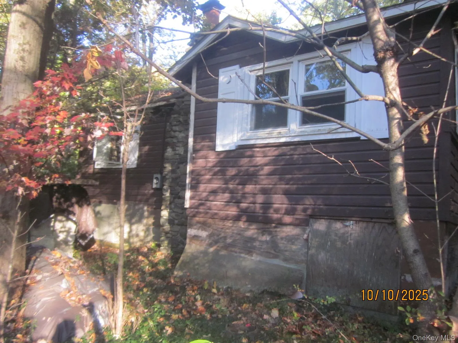 11 Woodland Circle, Monroe, NY, 2 Bedrooms Bedrooms, 4 Rooms Rooms,1 BathroomBathrooms,Residential,For Rent,Woodland,0,993793 11 Woodland Circle, Monroe, NY, 2 Bedrooms Bedrooms, 4 Rooms Rooms,1 BathroomBathrooms,Residential,For Rent,Woodland,0,993793