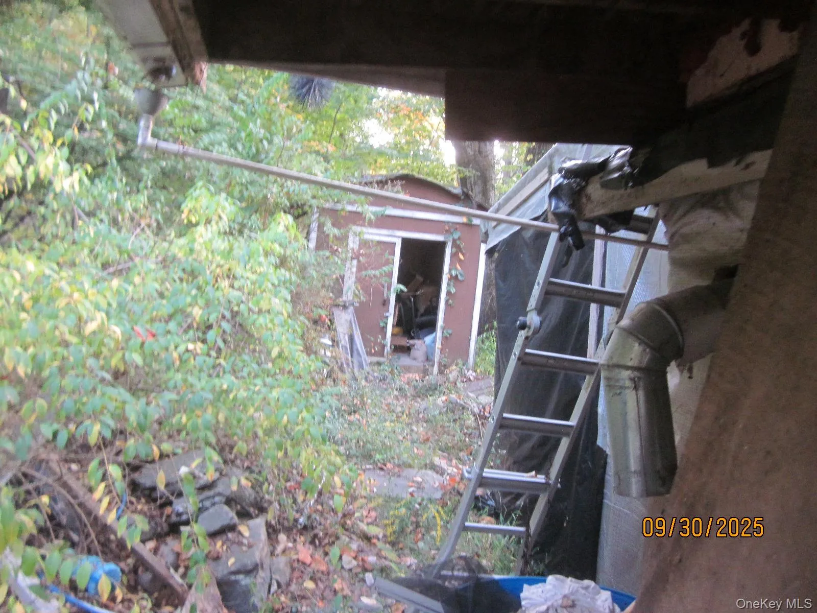 11 Woodland Circle, Monroe, NY, 2 Bedrooms Bedrooms, 4 Rooms Rooms,1 BathroomBathrooms,Residential,For Rent,Woodland,0,993793 11 Woodland Circle, Monroe, NY, 2 Bedrooms Bedrooms, 4 Rooms Rooms,1 BathroomBathrooms,Residential,For Rent,Woodland,0,993793