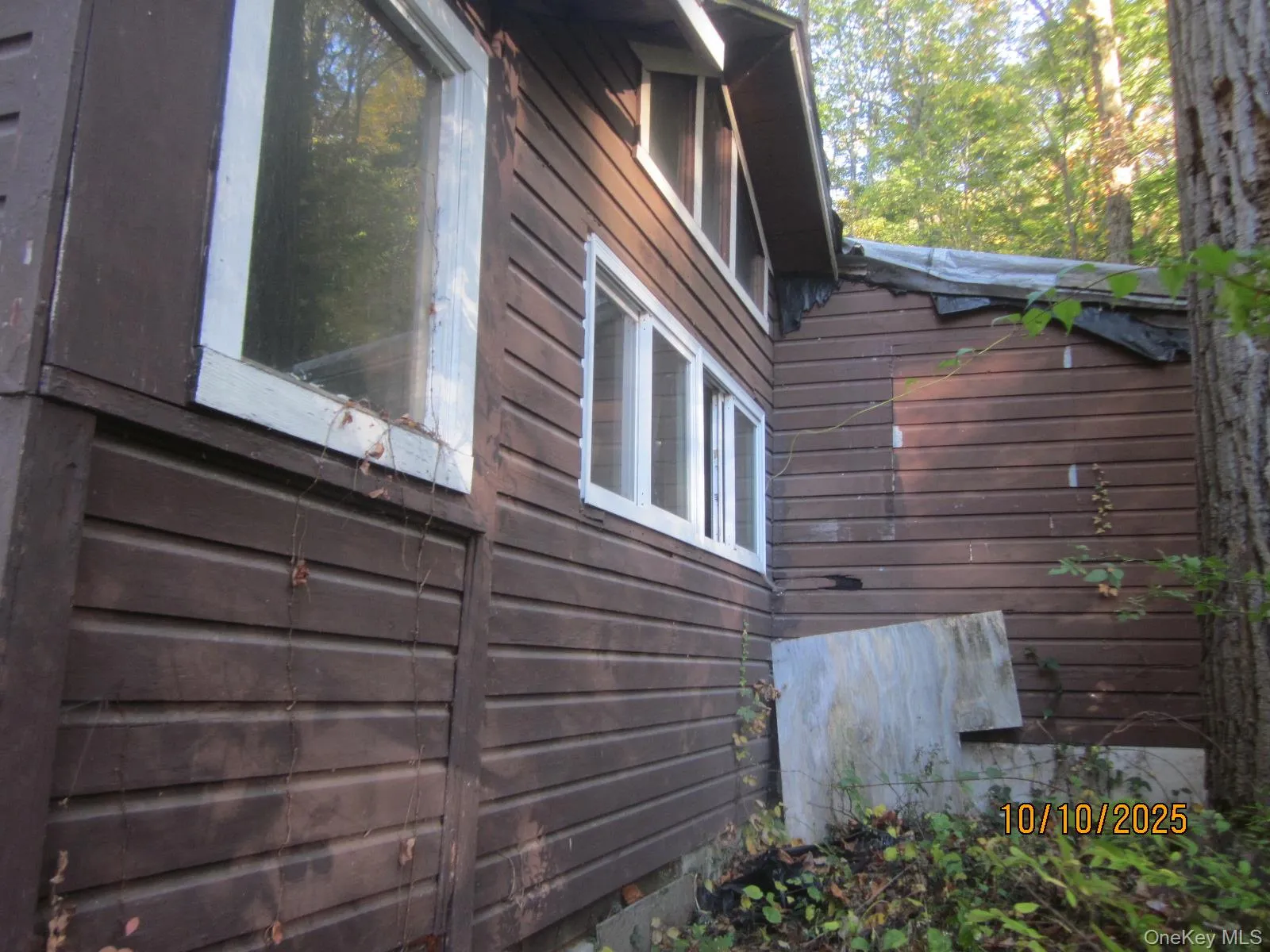 11 Woodland Circle, Monroe, NY, 2 Bedrooms Bedrooms, 4 Rooms Rooms,1 BathroomBathrooms,Residential,For Rent,Woodland,0,993793 11 Woodland Circle, Monroe, NY, 2 Bedrooms Bedrooms, 4 Rooms Rooms,1 BathroomBathrooms,Residential,For Rent,Woodland,0,993793