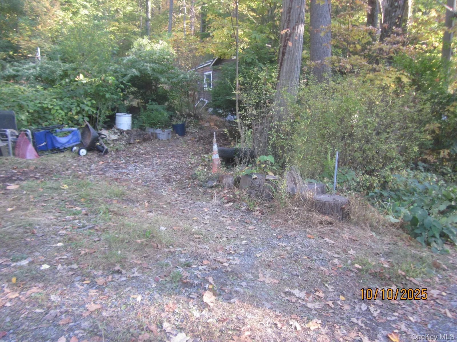 11 Woodland Circle, Monroe, NY, 2 Bedrooms Bedrooms, 4 Rooms Rooms,1 BathroomBathrooms,Residential,For Rent,Woodland,0,993793 11 Woodland Circle, Monroe, NY, 2 Bedrooms Bedrooms, 4 Rooms Rooms,1 BathroomBathrooms,Residential,For Rent,Woodland,0,993793