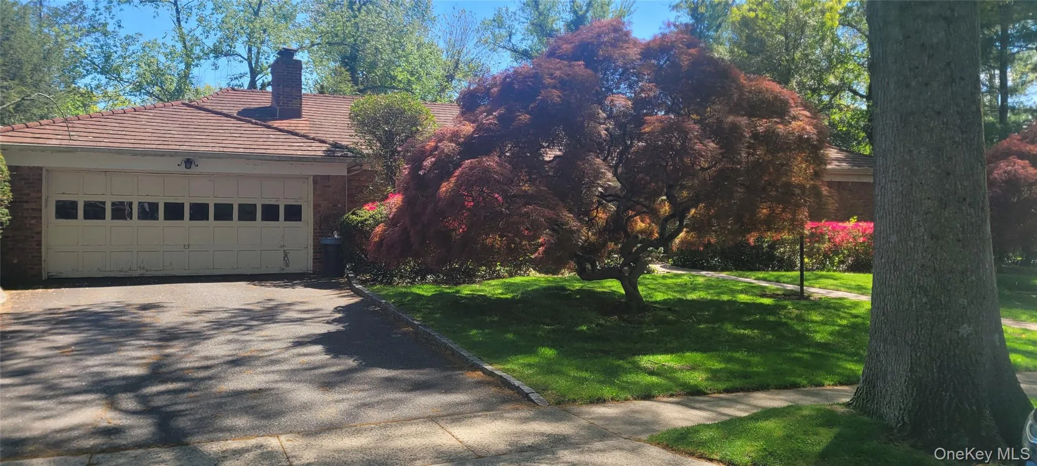 15 Somerset Drive, North Hempstead, NY, 4 Bedrooms Bedrooms, 11 Rooms Rooms,3 BathroomsBathrooms,Residential Lease,For Rent,Somerset,0,993831 15 Somerset Drive, North Hempstead, NY, 4 Bedrooms Bedrooms, 11 Rooms Rooms,3 BathroomsBathrooms,Residential Lease,For Rent,Somerset,0,993831
