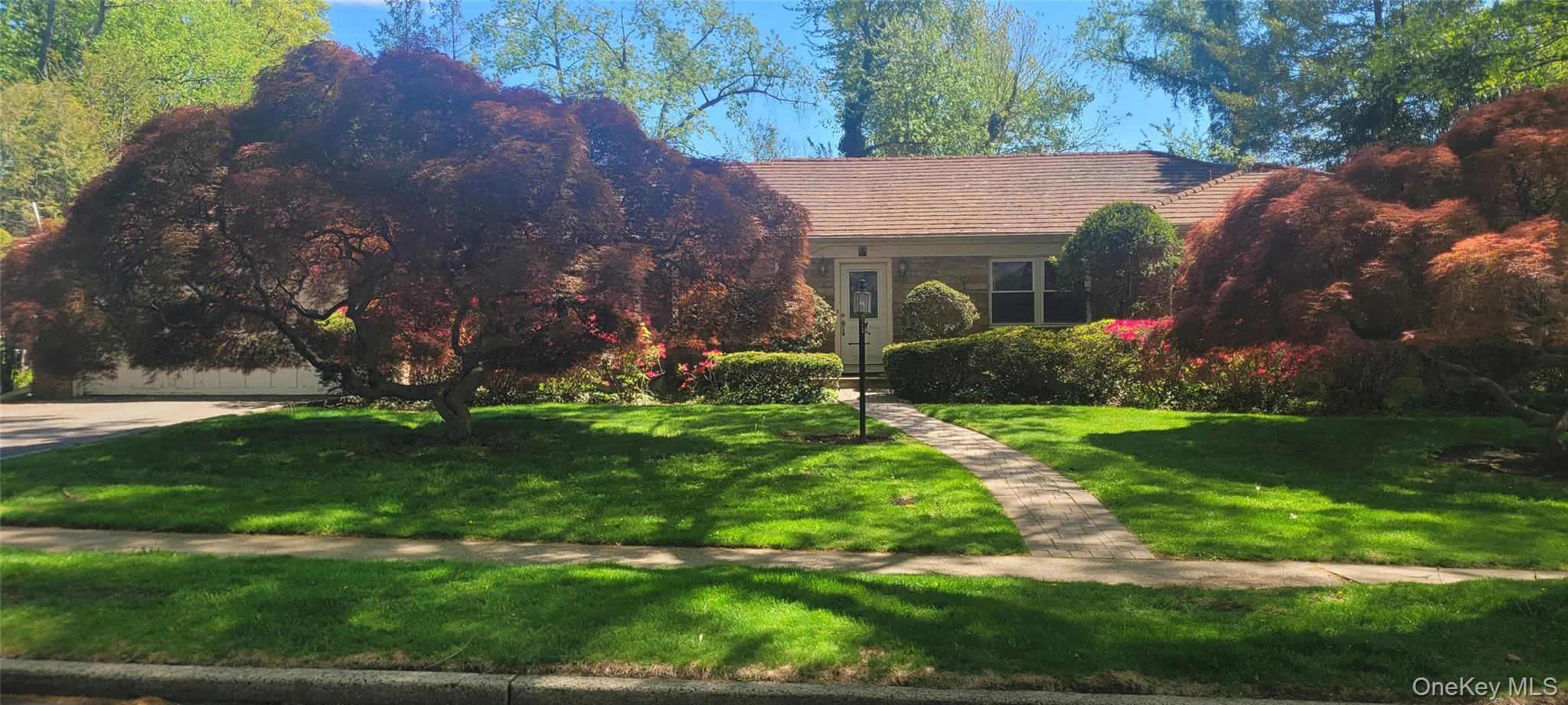 15 Somerset Drive, North Hempstead, NY, 4 Bedrooms Bedrooms, 11 Rooms Rooms,3 BathroomsBathrooms,Residential Lease,For Rent,Somerset,0,993831 15 Somerset Drive, North Hempstead, NY, 4 Bedrooms Bedrooms, 11 Rooms Rooms,3 BathroomsBathrooms,Residential Lease,For Rent,Somerset,0,993831