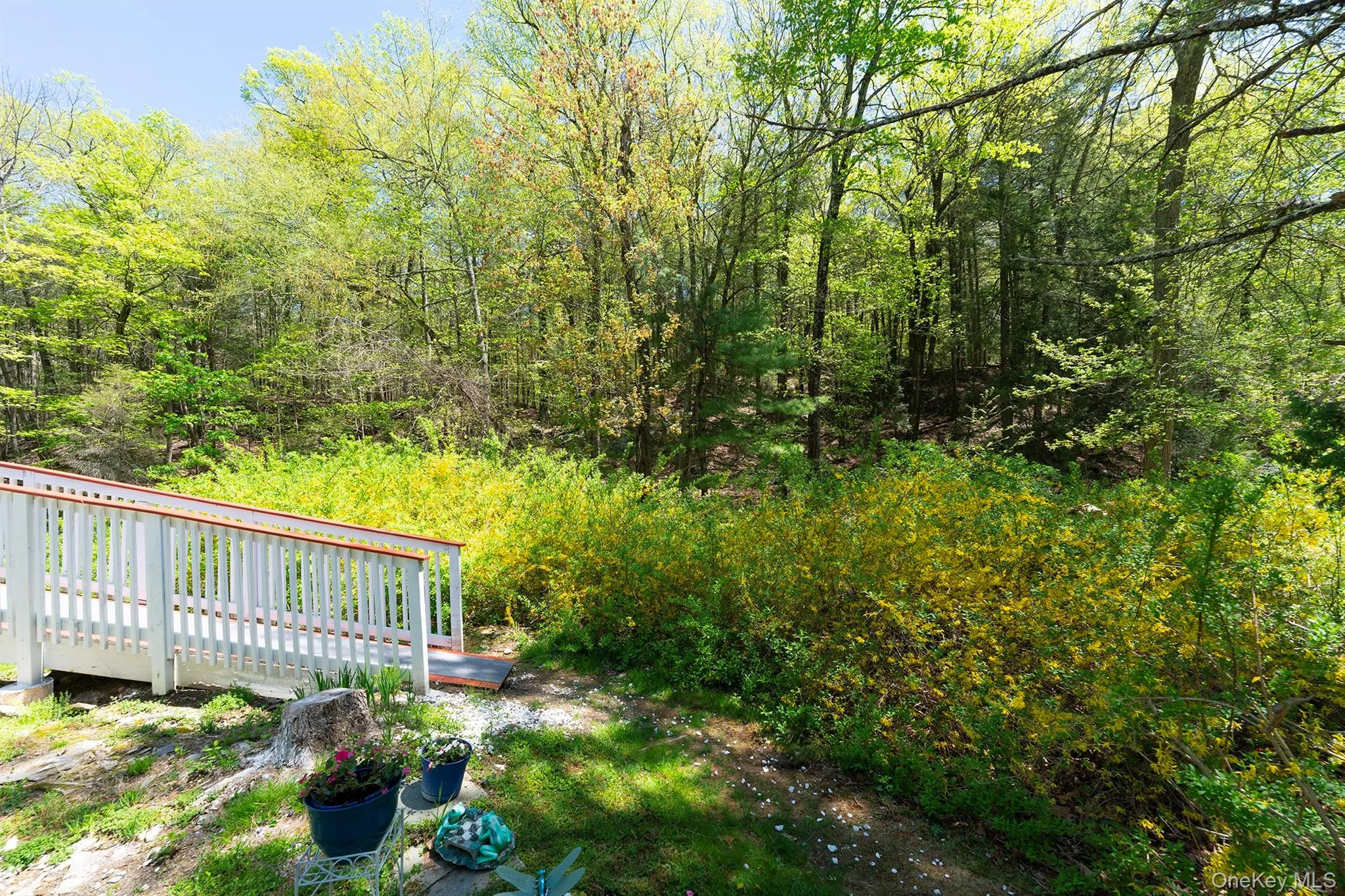 View of yard featuring a wooden deck and a view of trees View of yard featuring a wooden deck and a view of trees