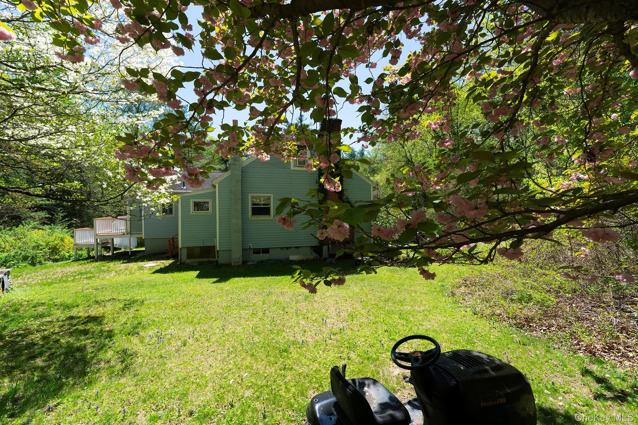 View of grassy yard View of grassy yard