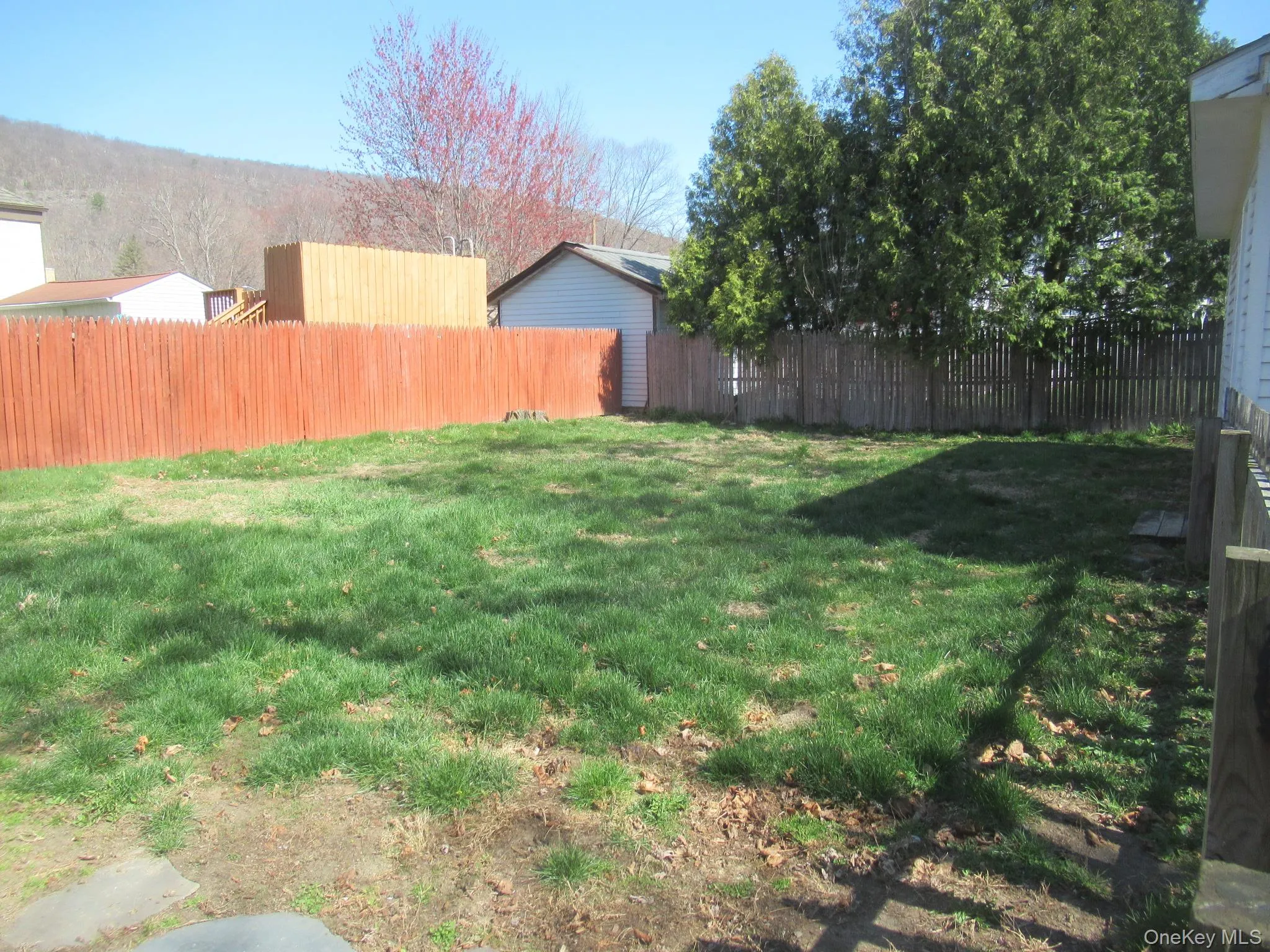 Fenced backyard with established green lawn Fenced backyard with established green lawn