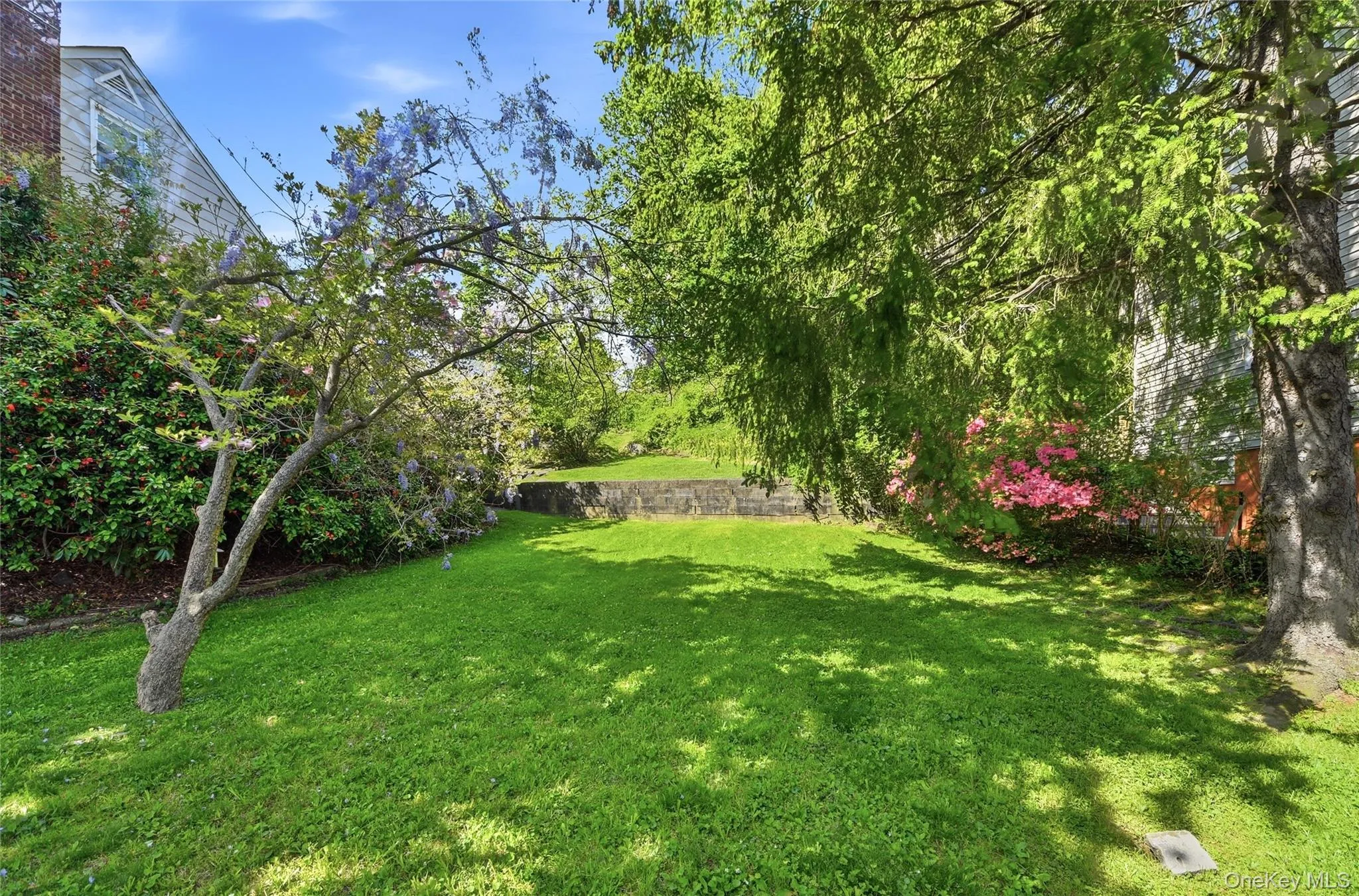 Backyard Backyard