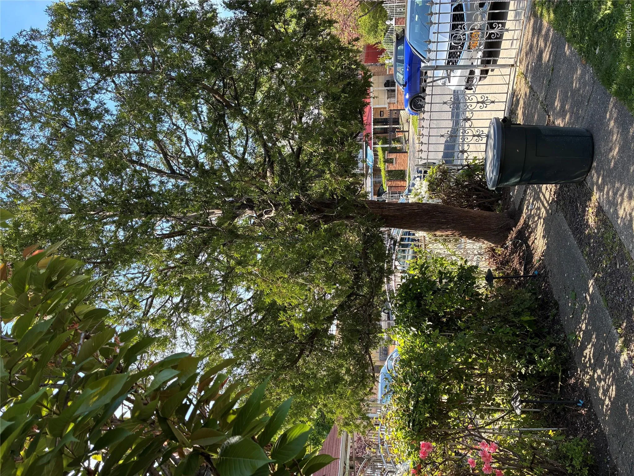 Front of home with beautiful trees and plantings Front of home with beautiful trees and plantings