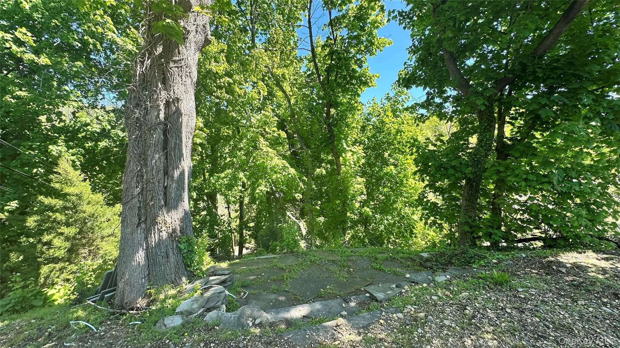 14 Karen Court, Oyster Bay, NY, 1 Bedroom Bedrooms, 5 Rooms Rooms,1 BathroomBathrooms,Residential Lease,For Rent,Karen,0,993928 14 Karen Court, Oyster Bay, NY, 1 Bedroom Bedrooms, 5 Rooms Rooms,1 BathroomBathrooms,Residential Lease,For Rent,Karen,0,993928