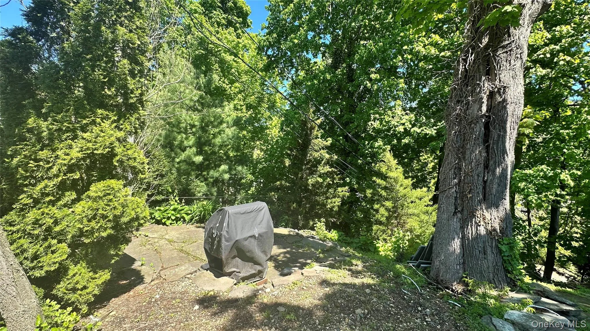 14 Karen Court, Oyster Bay, NY, 1 Bedroom Bedrooms, 5 Rooms Rooms,1 BathroomBathrooms,Residential Lease,For Rent,Karen,0,993928 14 Karen Court, Oyster Bay, NY, 1 Bedroom Bedrooms, 5 Rooms Rooms,1 BathroomBathrooms,Residential Lease,For Rent,Karen,0,993928