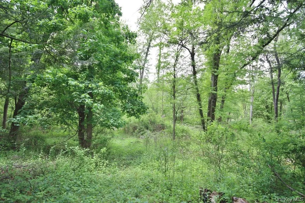 124 Cherrywood Drive, Fishkill, NY, 2 Bedrooms Bedrooms, 7 Rooms Rooms,2 BathroomsBathrooms,Residential,For Rent,Cherrywood,0,993963 124 Cherrywood Drive, Fishkill, NY, 2 Bedrooms Bedrooms, 7 Rooms Rooms,2 BathroomsBathrooms,Residential,For Rent,Cherrywood,0,993963
