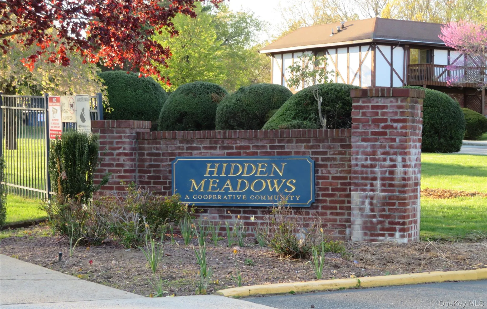 129 Bailey Court, Brookhaven, NY, 1 Bedroom Bedrooms, 4 Rooms Rooms,1 BathroomBathrooms,Residential,For Rent,Bailey,0,993971 129 Bailey Court, Brookhaven, NY, 1 Bedroom Bedrooms, 4 Rooms Rooms,1 BathroomBathrooms,Residential,For Rent,Bailey,0,993971