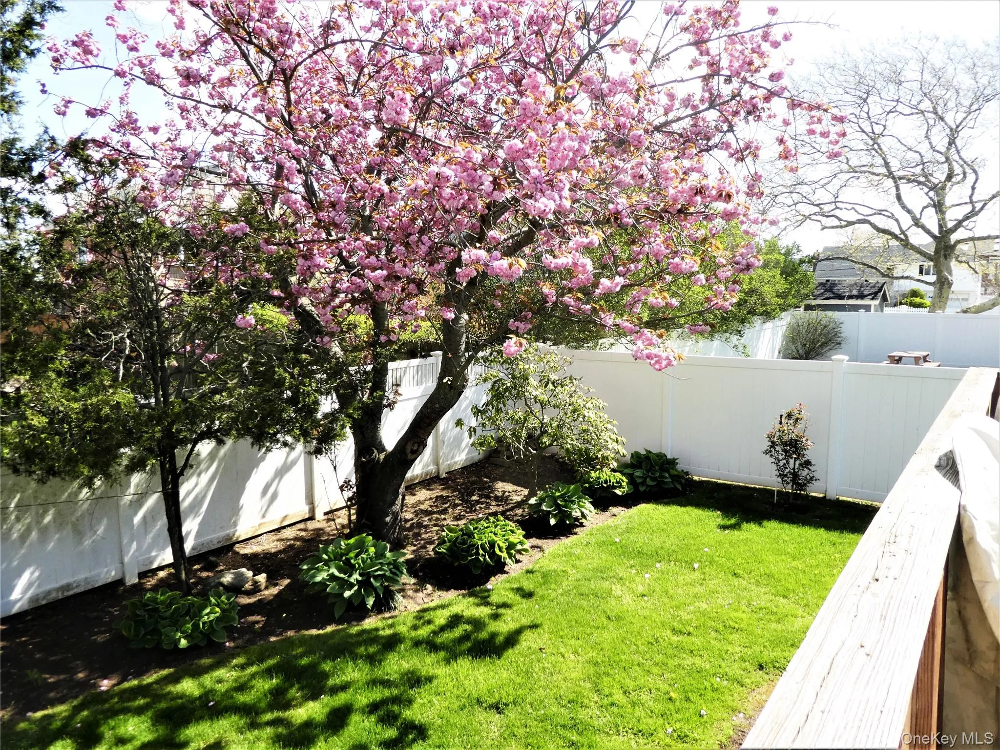 821 Channel Road, Hempstead, NY, 3 Bedrooms Bedrooms, 7 Rooms Rooms,2 BathroomsBathrooms,Residential Lease,For Rent,Channel,0,993975 821 Channel Road, Hempstead, NY, 3 Bedrooms Bedrooms, 7 Rooms Rooms,2 BathroomsBathrooms,Residential Lease,For Rent,Channel,0,993975