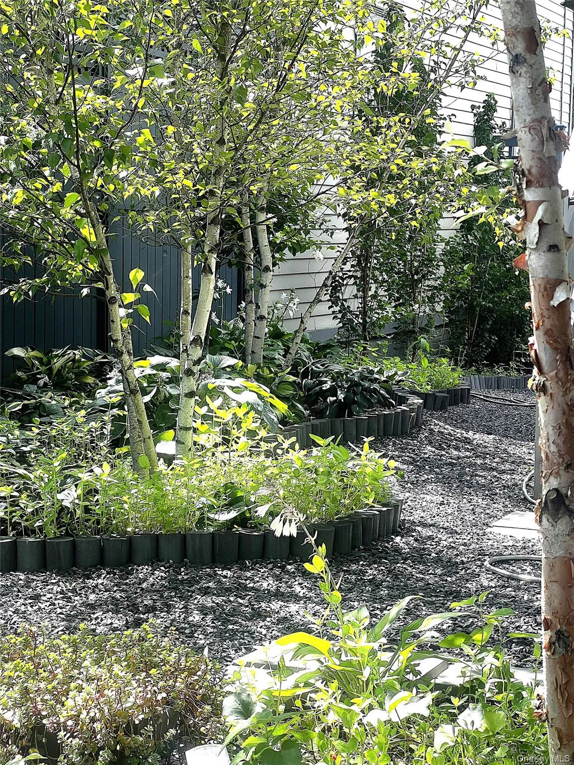 238 Allen Street, Hudson, NY, 2 Bedrooms Bedrooms, 8 Rooms Rooms,2 BathroomsBathrooms,Residential,For Rent,Allen,0,993989 238 Allen Street, Hudson, NY, 2 Bedrooms Bedrooms, 8 Rooms Rooms,2 BathroomsBathrooms,Residential,For Rent,Allen,0,993989