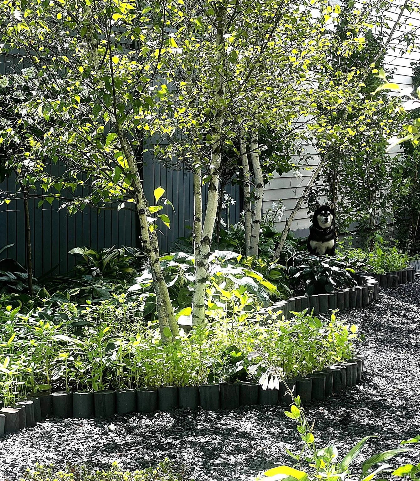 238 Allen Street, Hudson, NY, 2 Bedrooms Bedrooms, 8 Rooms Rooms,2 BathroomsBathrooms,Residential,For Rent,Allen,0,993989 238 Allen Street, Hudson, NY, 2 Bedrooms Bedrooms, 8 Rooms Rooms,2 BathroomsBathrooms,Residential,For Rent,Allen,0,993989