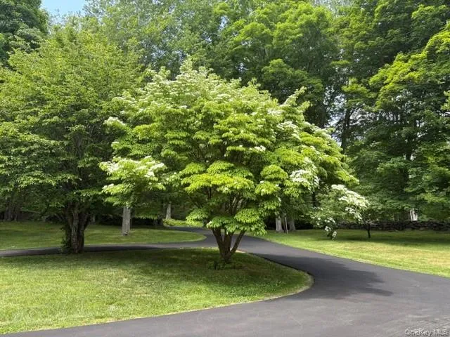 240 Eastwoods Road, Pound Ridge, NY, 4 Bedrooms Bedrooms, 11 Rooms Rooms,4 BathroomsBathrooms,Residential,For Rent,Eastwoods,0,993992 240 Eastwoods Road, Pound Ridge, NY, 4 Bedrooms Bedrooms, 11 Rooms Rooms,4 BathroomsBathrooms,Residential,For Rent,Eastwoods,0,993992