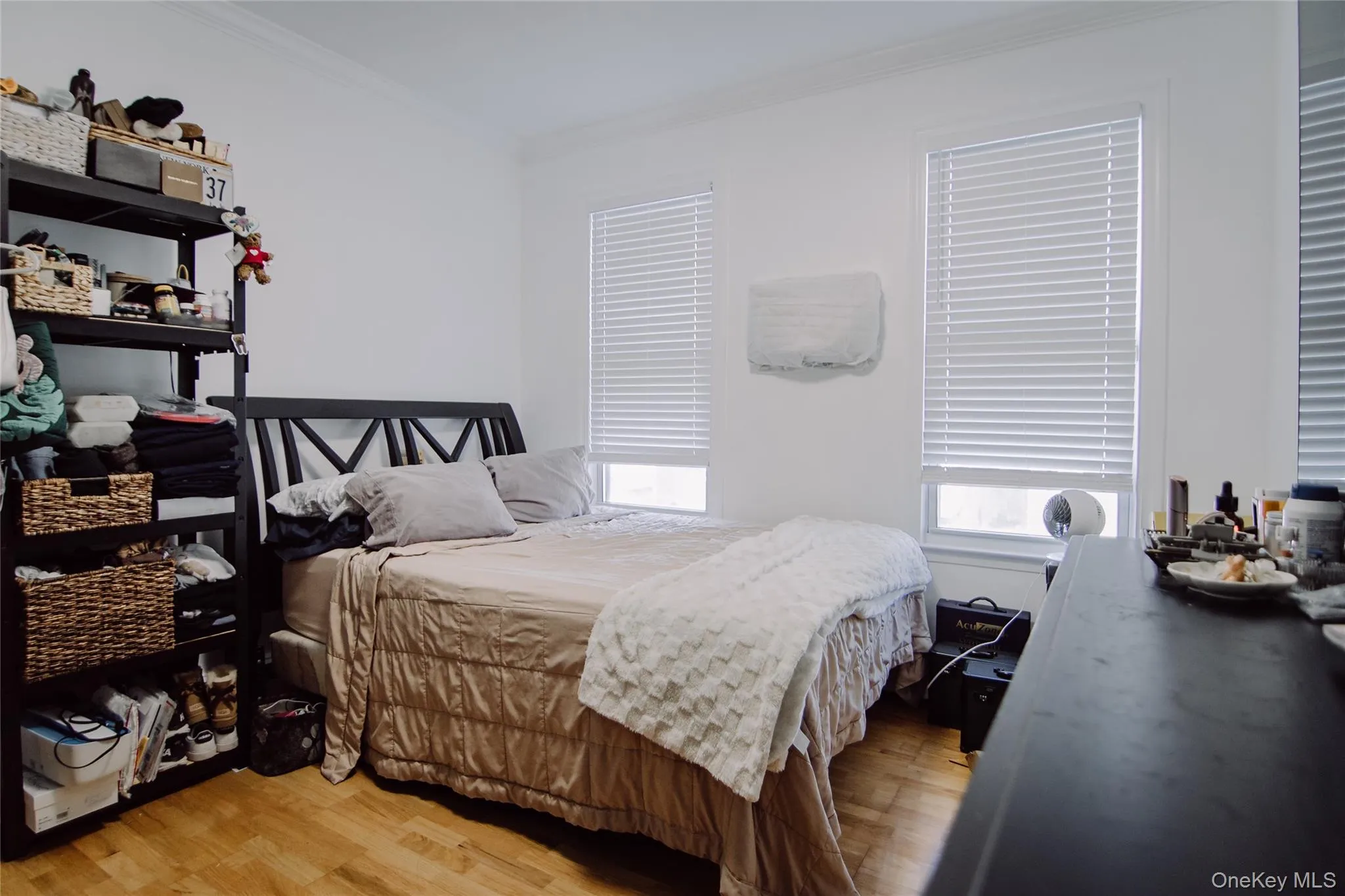 2315 FISH Avenue, New York, NY, 3 Bedrooms Bedrooms, 6 Rooms Rooms,2 BathroomsBathrooms,Residential,For Rent,FISH,0,994020 2315 FISH Avenue, New York, NY, 3 Bedrooms Bedrooms, 6 Rooms Rooms,2 BathroomsBathrooms,Residential,For Rent,FISH,0,994020