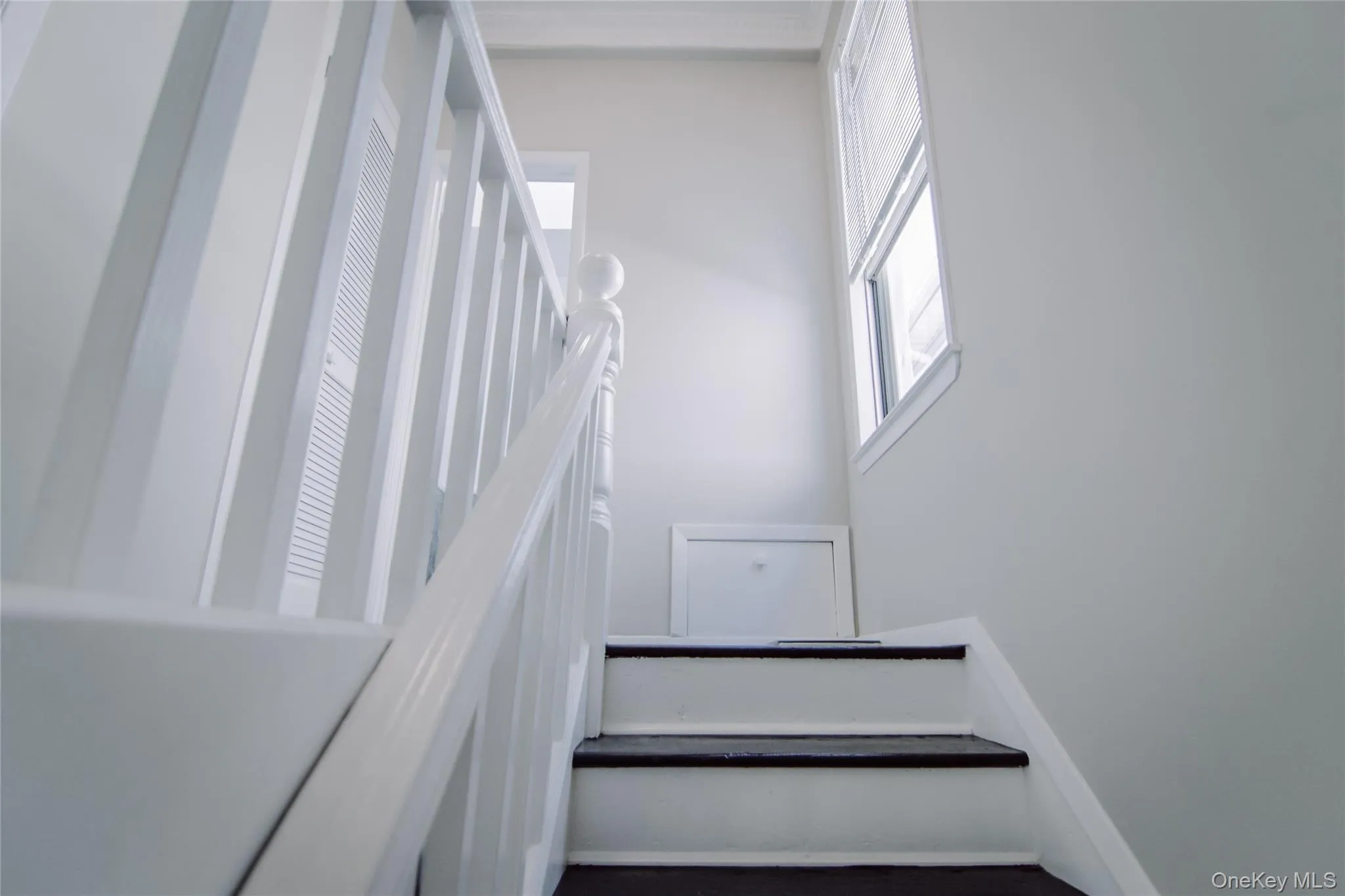 2315 FISH Avenue, New York, NY, 3 Bedrooms Bedrooms, 6 Rooms Rooms,2 BathroomsBathrooms,Residential,For Rent,FISH,0,994020 2315 FISH Avenue, New York, NY, 3 Bedrooms Bedrooms, 6 Rooms Rooms,2 BathroomsBathrooms,Residential,For Rent,FISH,0,994020