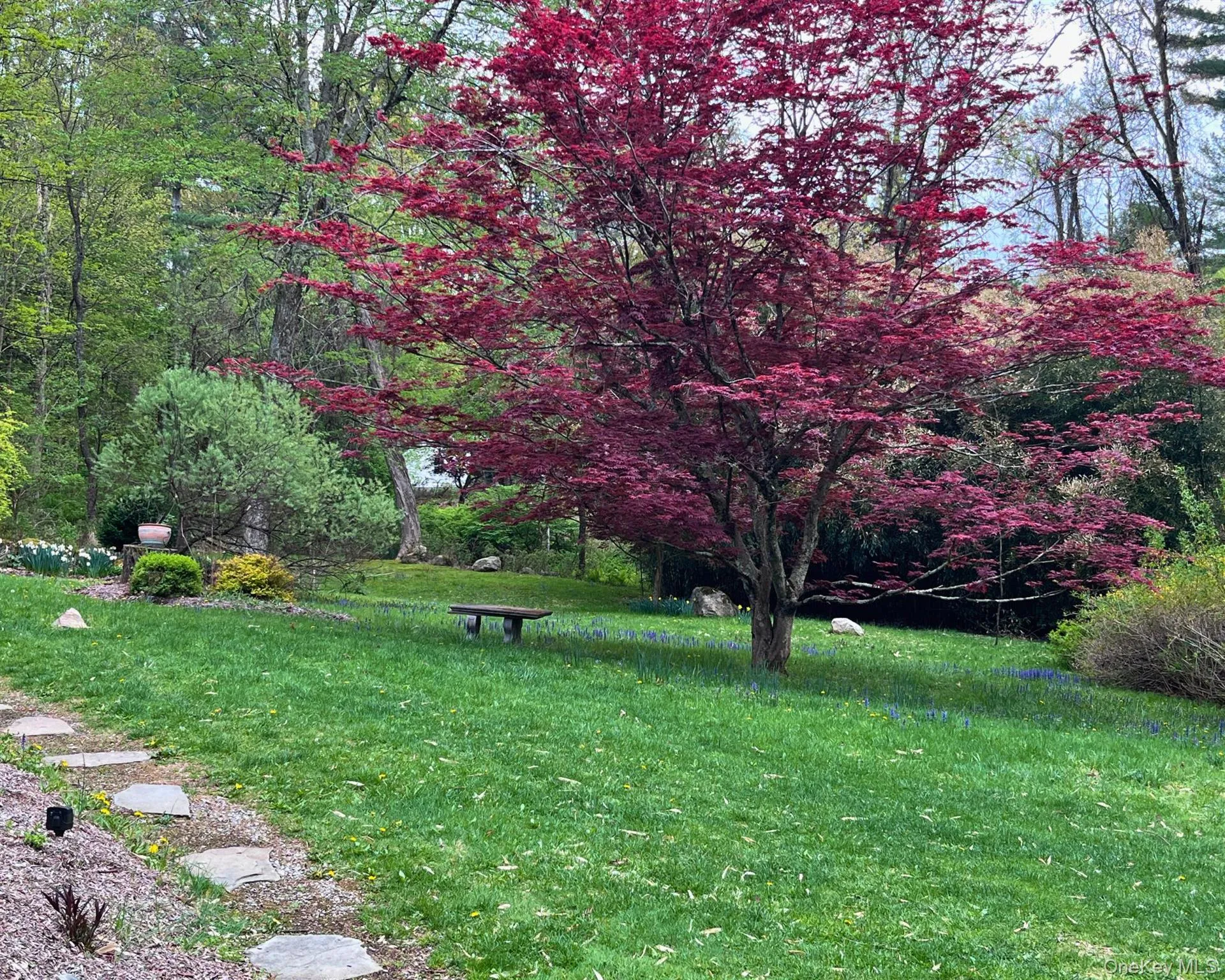 Bucolic yard Bucolic yard