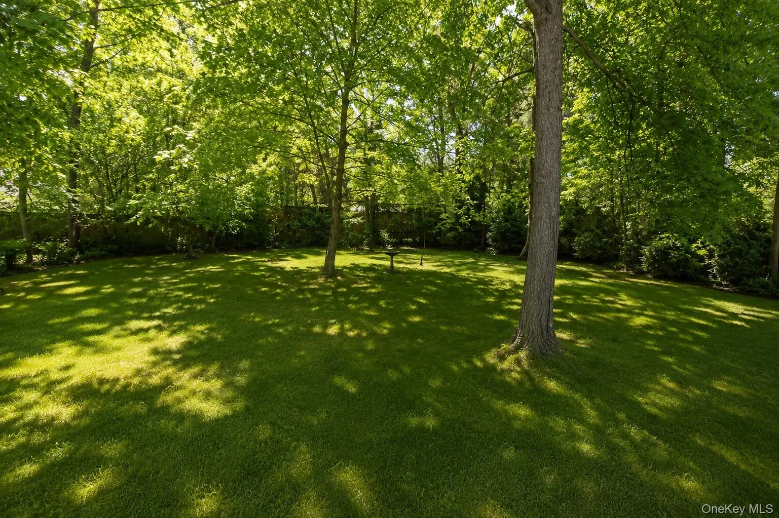 68 George Street, Brookhaven, NY, 1 Bedroom Bedrooms, 5 Rooms Rooms,1 BathroomBathrooms,Residential,For Rent,George,0,994059 68 George Street, Brookhaven, NY, 1 Bedroom Bedrooms, 5 Rooms Rooms,1 BathroomBathrooms,Residential,For Rent,George,0,994059