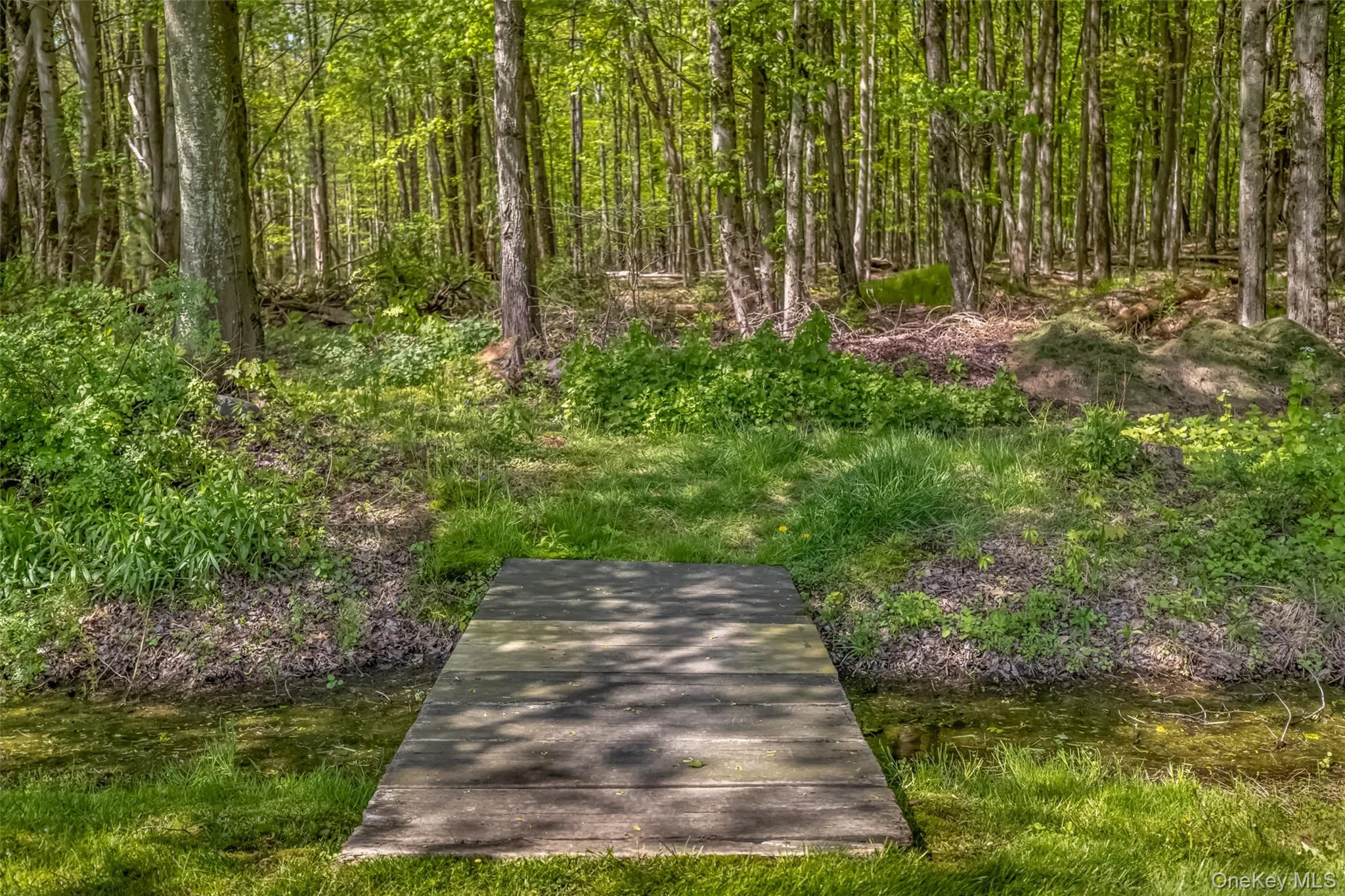 110 Cottontail Lane, Saugerties, NY, 4 Bedrooms Bedrooms, 8 Rooms Rooms,2 BathroomsBathrooms,Residential,For Rent,Cottontail,0,994067 110 Cottontail Lane, Saugerties, NY, 4 Bedrooms Bedrooms, 8 Rooms Rooms,2 BathroomsBathrooms,Residential,For Rent,Cottontail,0,994067