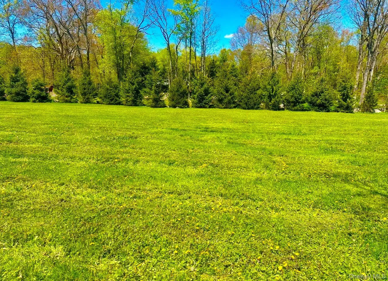 TBD LOT #2 Quaker Street, Newburgh (town), NY, ,Land,For Rent,Quaker,0,994094 TBD LOT #2 Quaker Street, Newburgh (town), NY, ,Land,For Rent,Quaker,0,994094