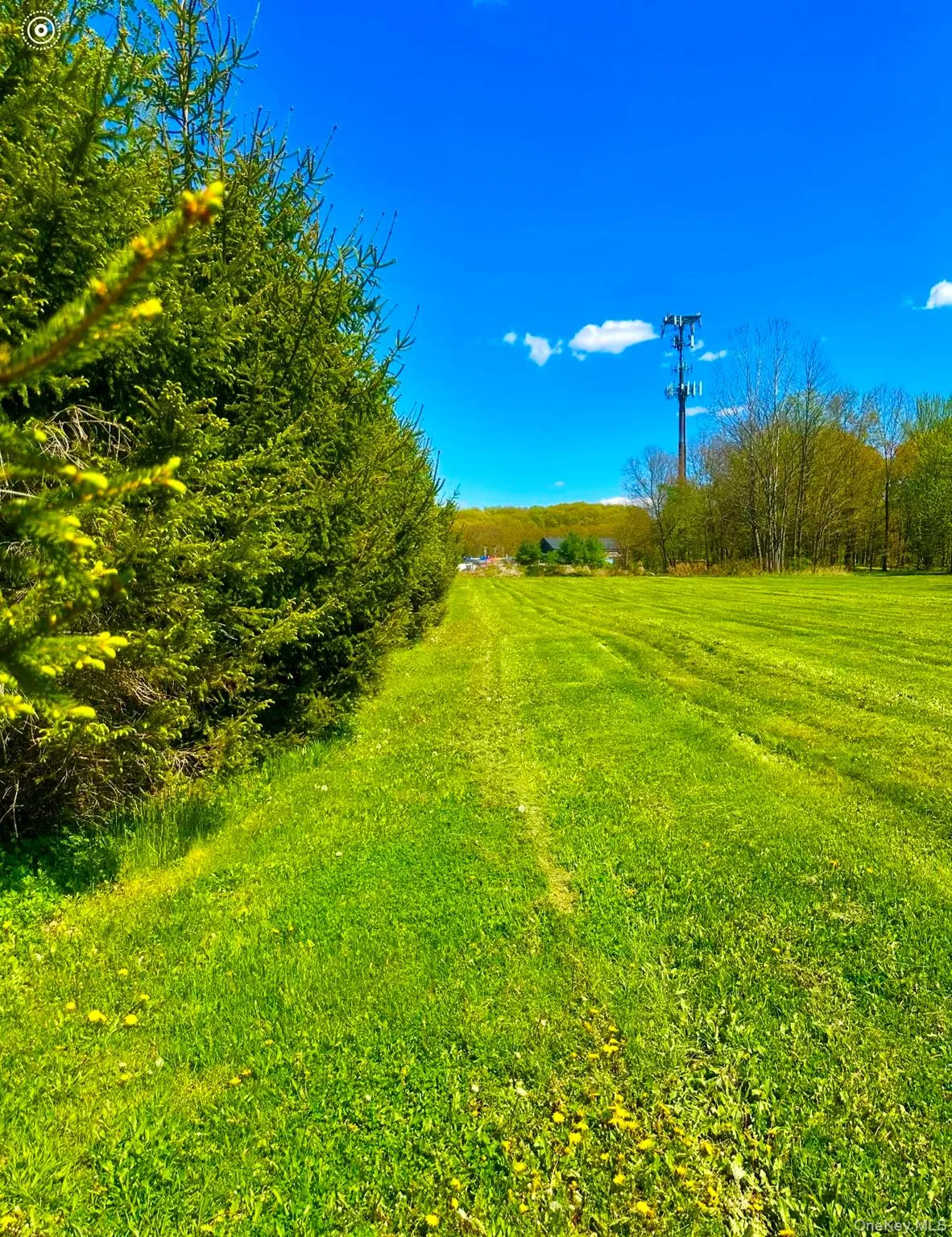 TBD LOT#3 Quaker Street, Newburgh (town), NY, ,Land,For Rent,Quaker,0,994106 TBD LOT#3 Quaker Street, Newburgh (town), NY, ,Land,For Rent,Quaker,0,994106