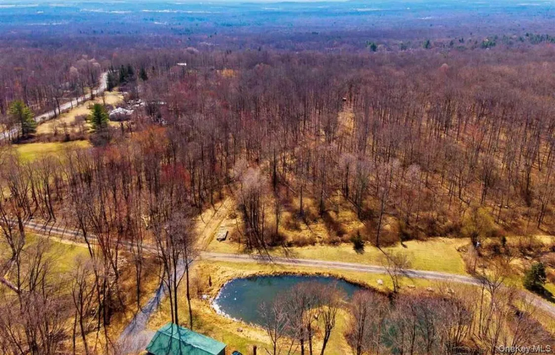 Bird's eye view of a forest and a nearby body of water Bird's eye view of a forest and a nearby body of water