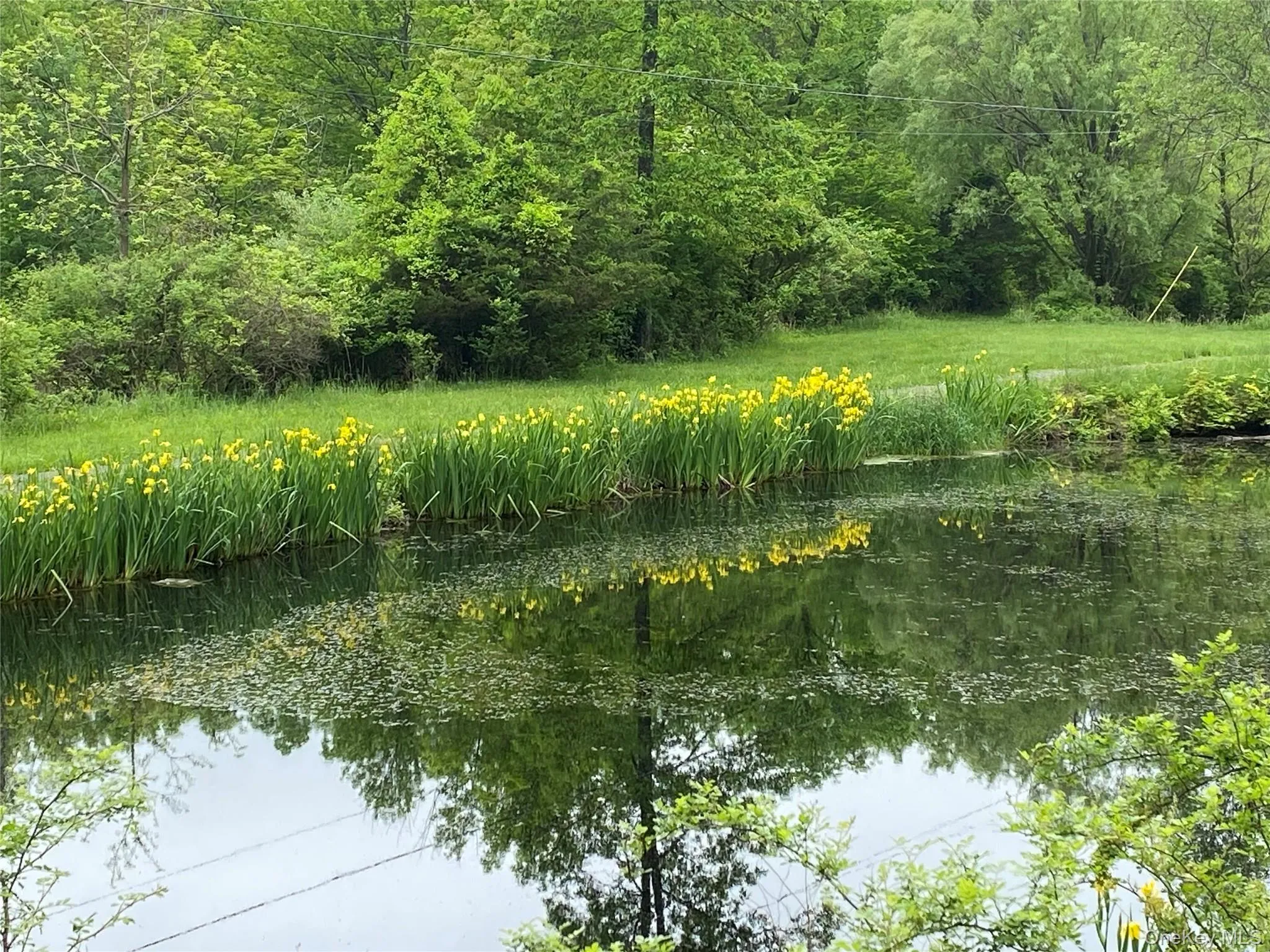 Water view featuring a forest Water view featuring a forest