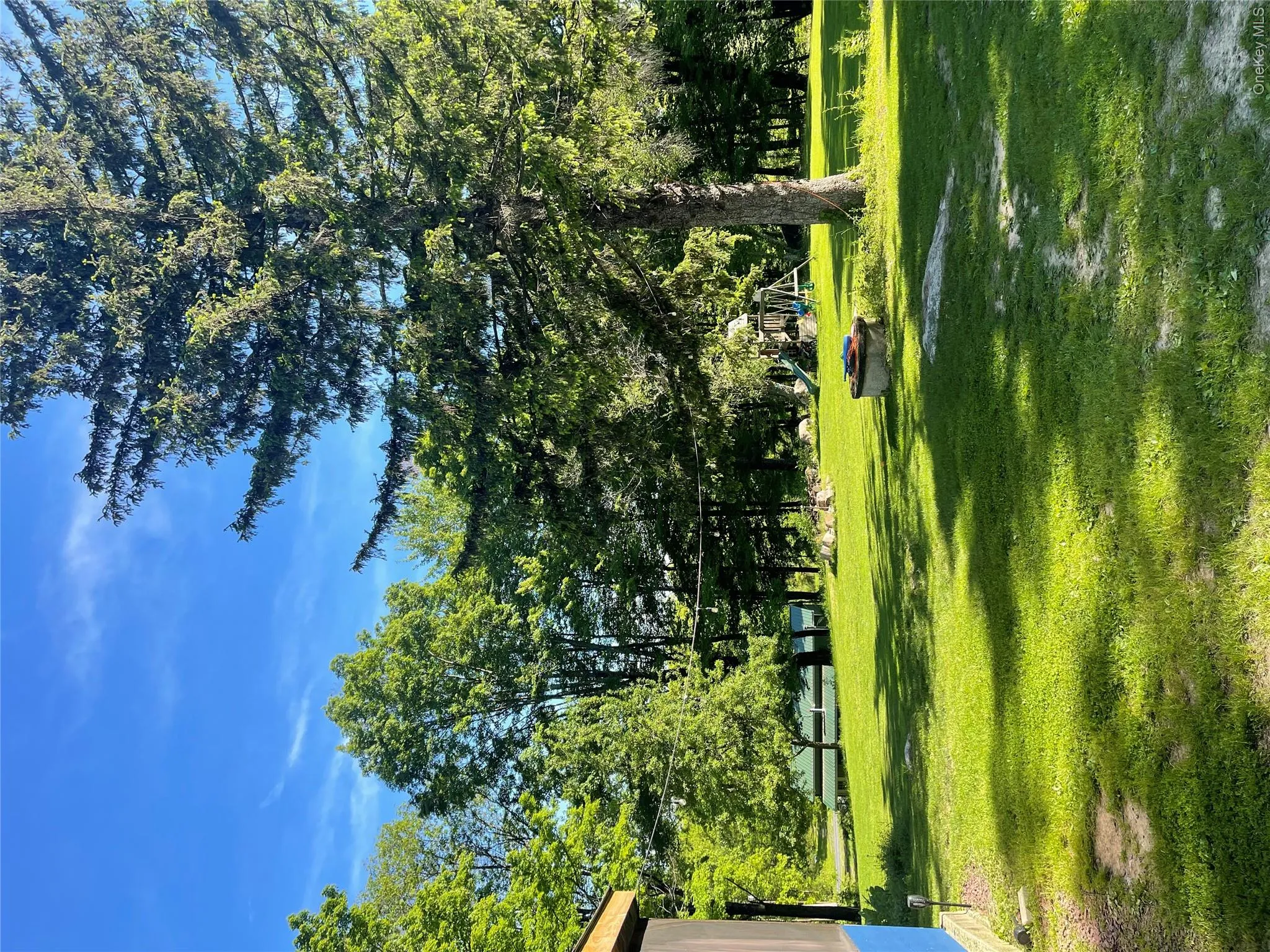 View of green lawn with view of scattered trees View of green lawn with view of scattered trees