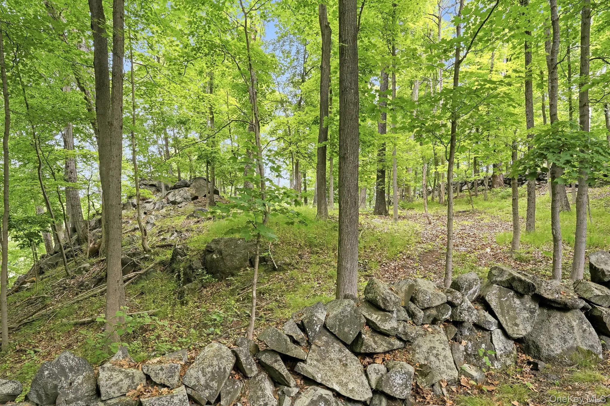 43 Powder Horn Road, Cortlandt, NY, 3 Bedrooms Bedrooms, 8 Rooms Rooms,3 BathroomsBathrooms,Residential,For Rent,Powder Horn,0,994182 43 Powder Horn Road, Cortlandt, NY, 3 Bedrooms Bedrooms, 8 Rooms Rooms,3 BathroomsBathrooms,Residential,For Rent,Powder Horn,0,994182