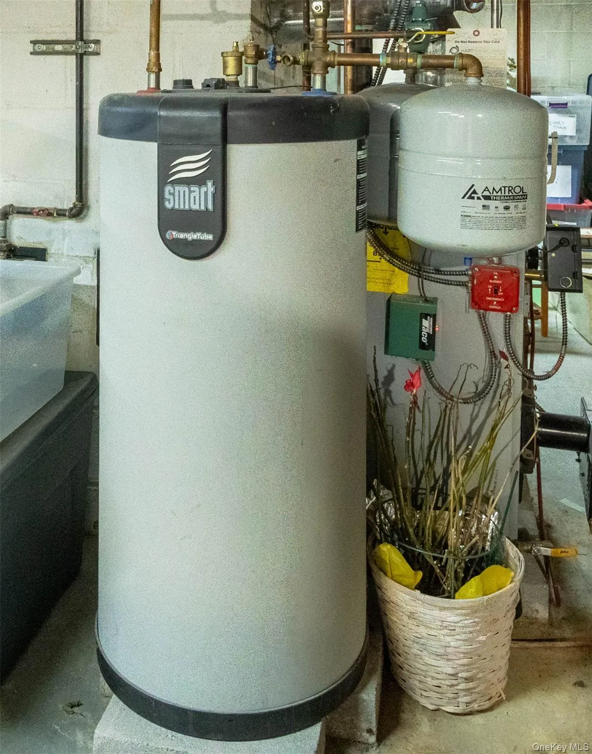 Mechanical room featuring a water heater and an expansion tank Mechanical room featuring a water heater and an expansion tank