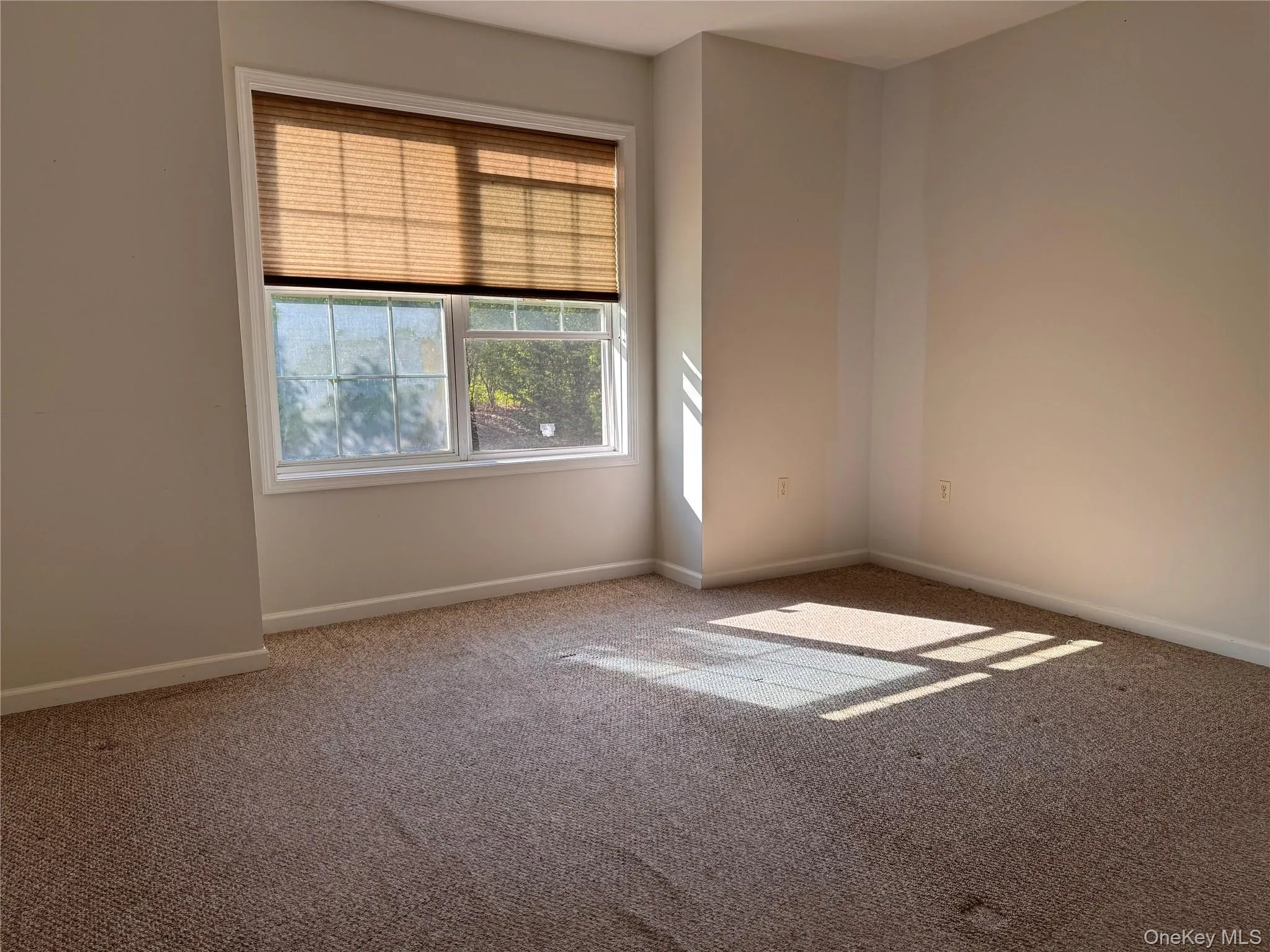 935 Tower Ridge Circle, Middletown, NY, 1 Bedroom Bedrooms, 4 Rooms Rooms,1 BathroomBathrooms,Residential Lease,For Rent,Tower Ridge,0,994228 935 Tower Ridge Circle, Middletown, NY, 1 Bedroom Bedrooms, 4 Rooms Rooms,1 BathroomBathrooms,Residential Lease,For Rent,Tower Ridge,0,994228