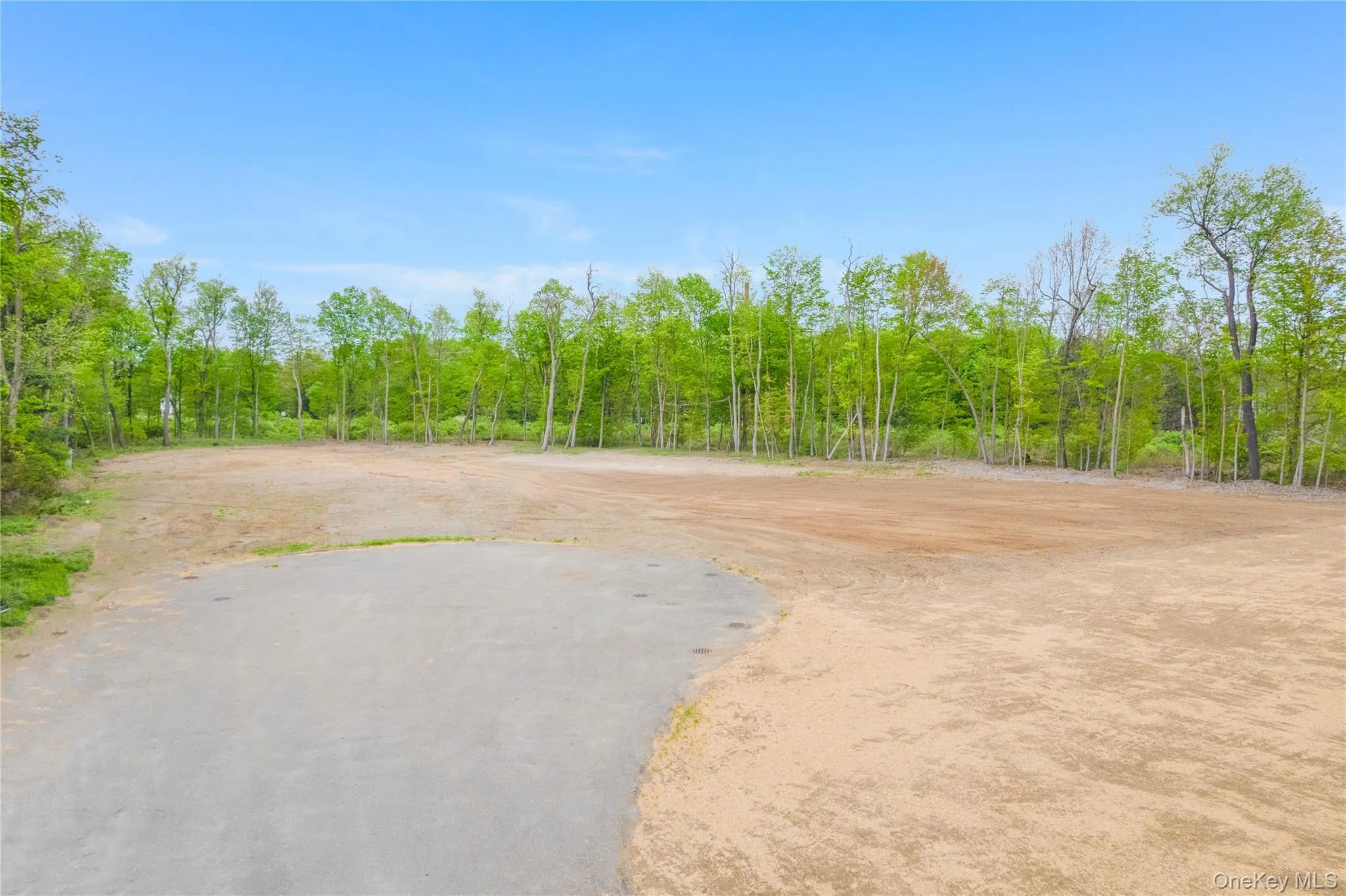 LOT 3 Cameron Way, East Fishkill, NY, 4 Bedrooms Bedrooms, 11 Rooms Rooms,3 BathroomsBathrooms,Residential Sale,For Rent,Cameron,0,994242 LOT 3 Cameron Way, East Fishkill, NY, 4 Bedrooms Bedrooms, 11 Rooms Rooms,3 BathroomsBathrooms,Residential Sale,For Rent,Cameron,0,994242