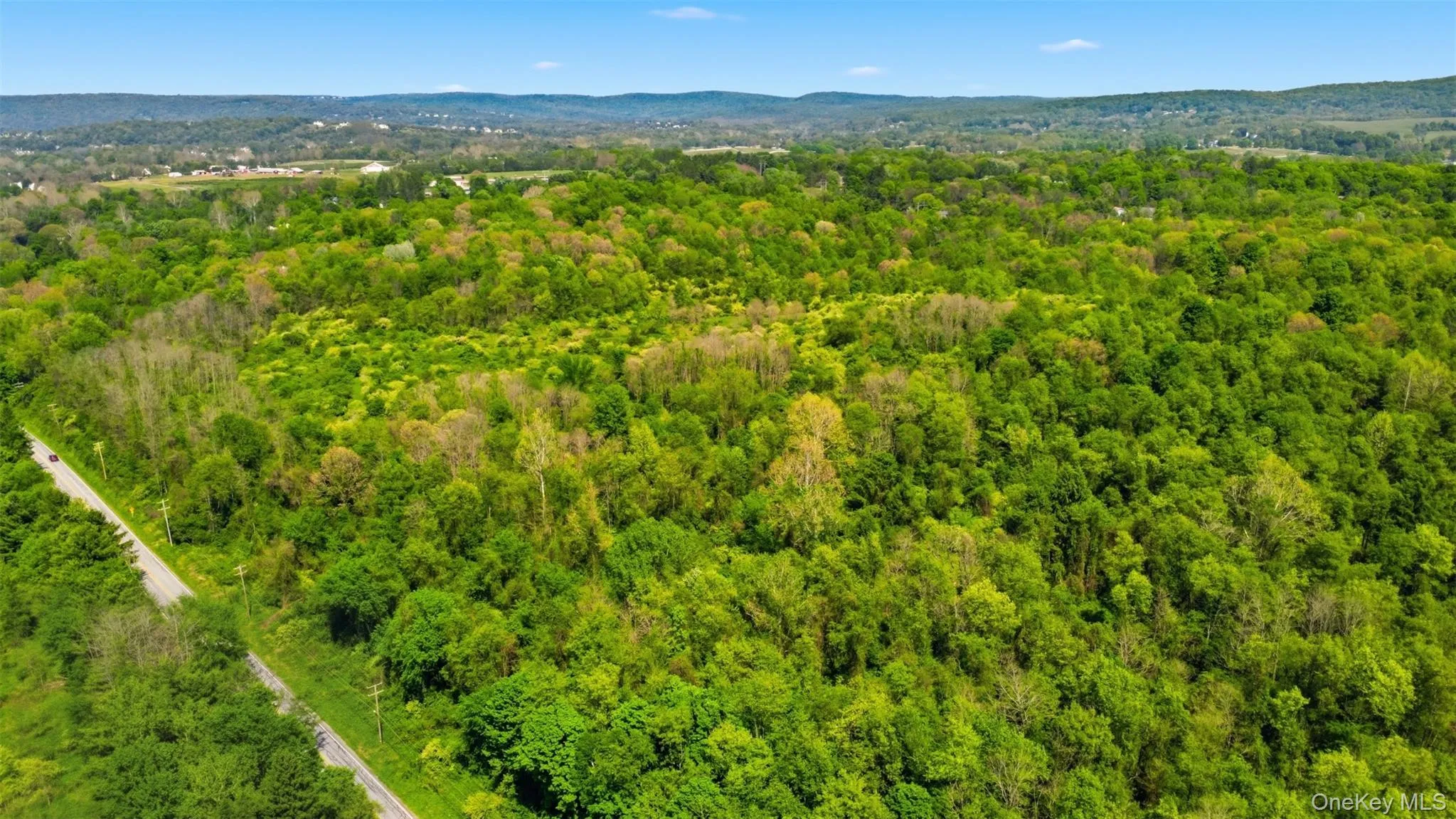 213 Greenhaven Road, Beekman, NY, ,Land,For Rent,Greenhaven,0,994352 213 Greenhaven Road, Beekman, NY, ,Land,For Rent,Greenhaven,0,994352