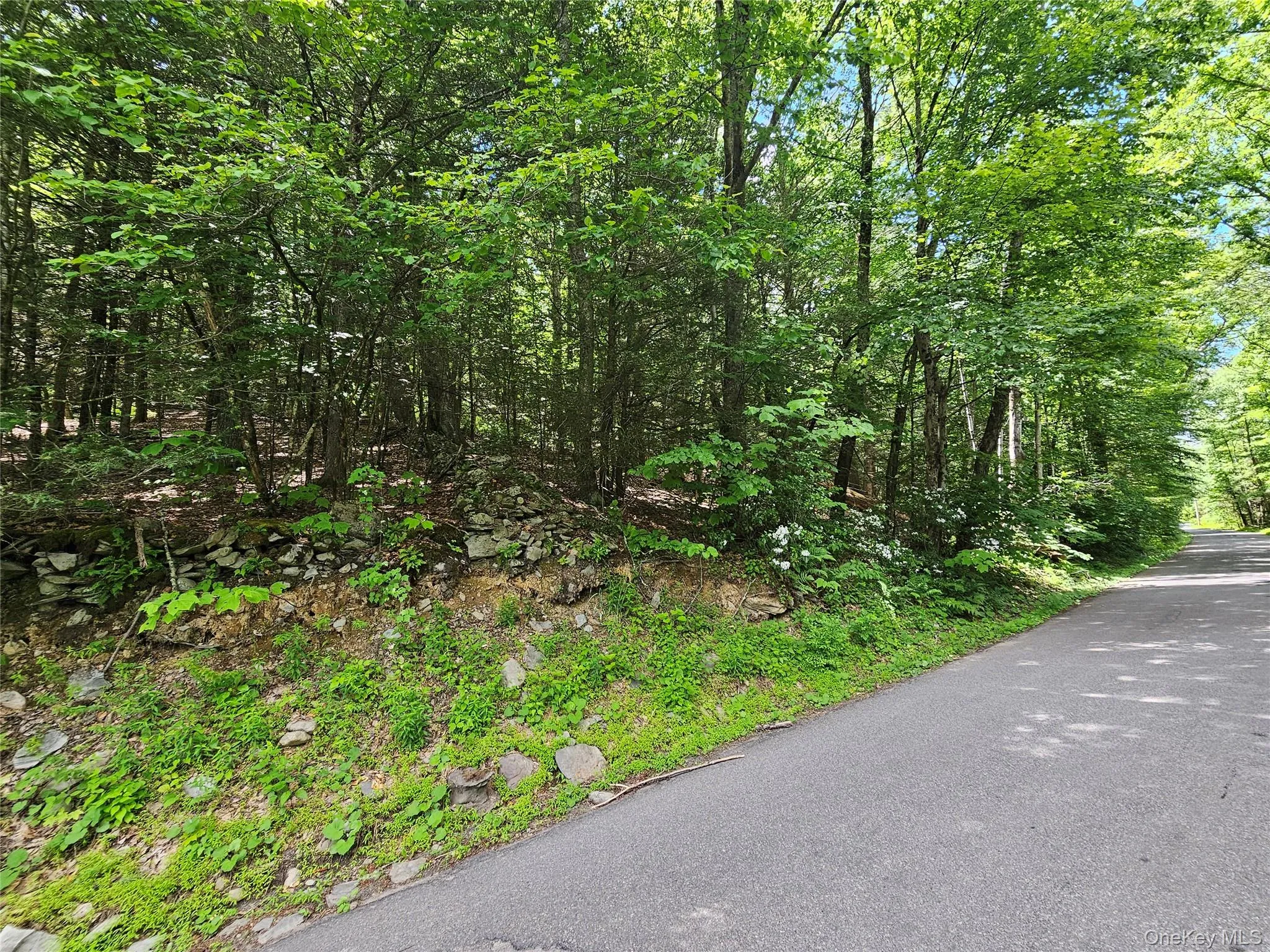 Trails End Road, Rochester, NY, ,Land,For Rent,Trails End,0,994361 Trails End Road, Rochester, NY, ,Land,For Rent,Trails End,0,994361
