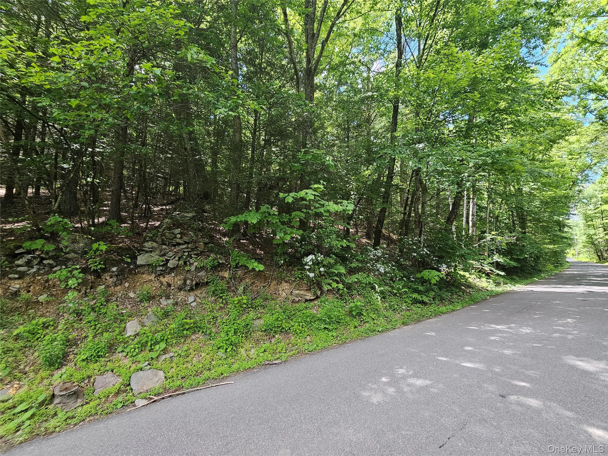 Trails End Road, Rochester, NY, ,Land,For Rent,Trails End,0,994361 Trails End Road, Rochester, NY, ,Land,For Rent,Trails End,0,994361