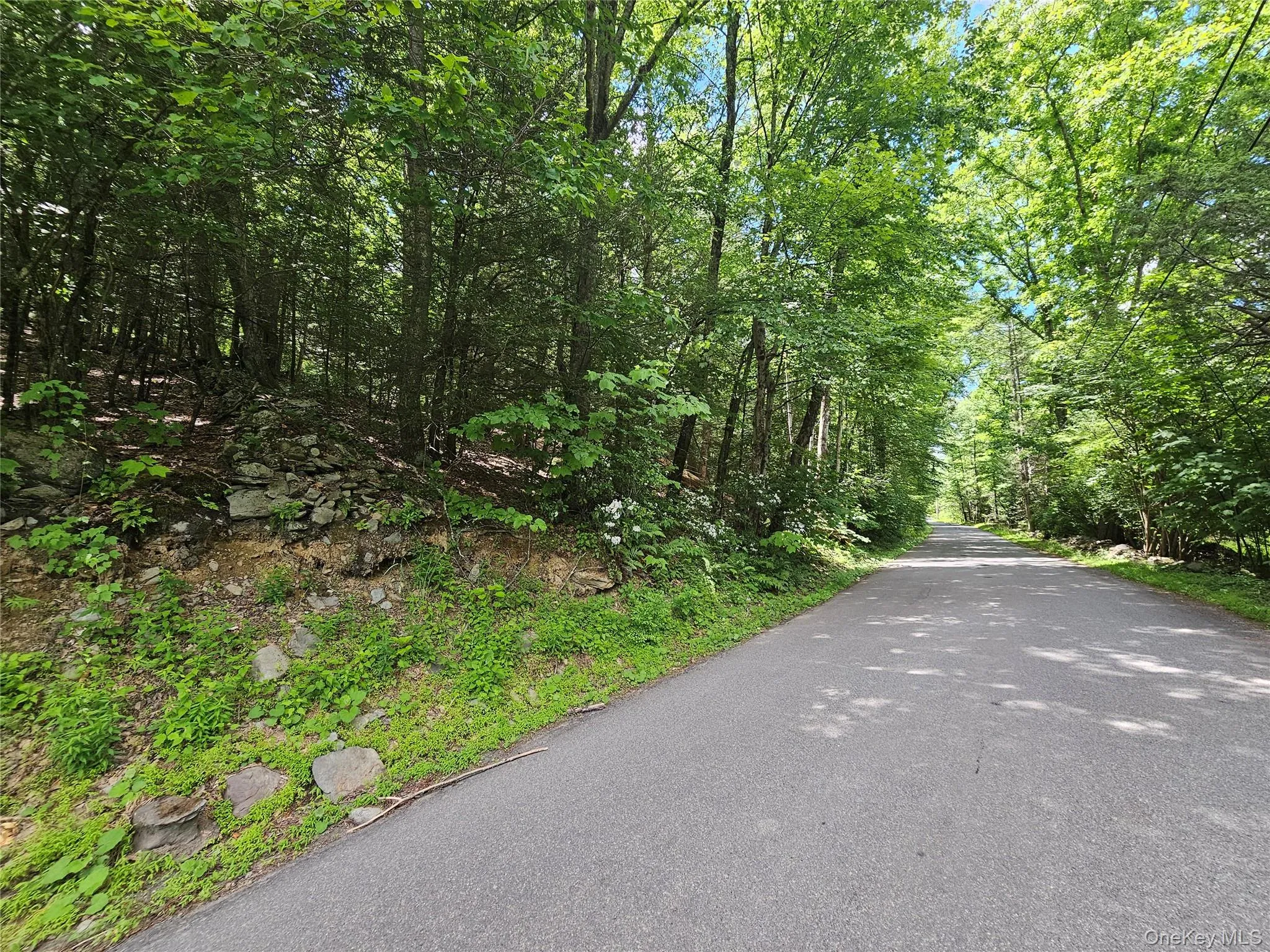 Trails End Road, Rochester, NY, ,Land,For Rent,Trails End,0,994361 Trails End Road, Rochester, NY, ,Land,For Rent,Trails End,0,994361