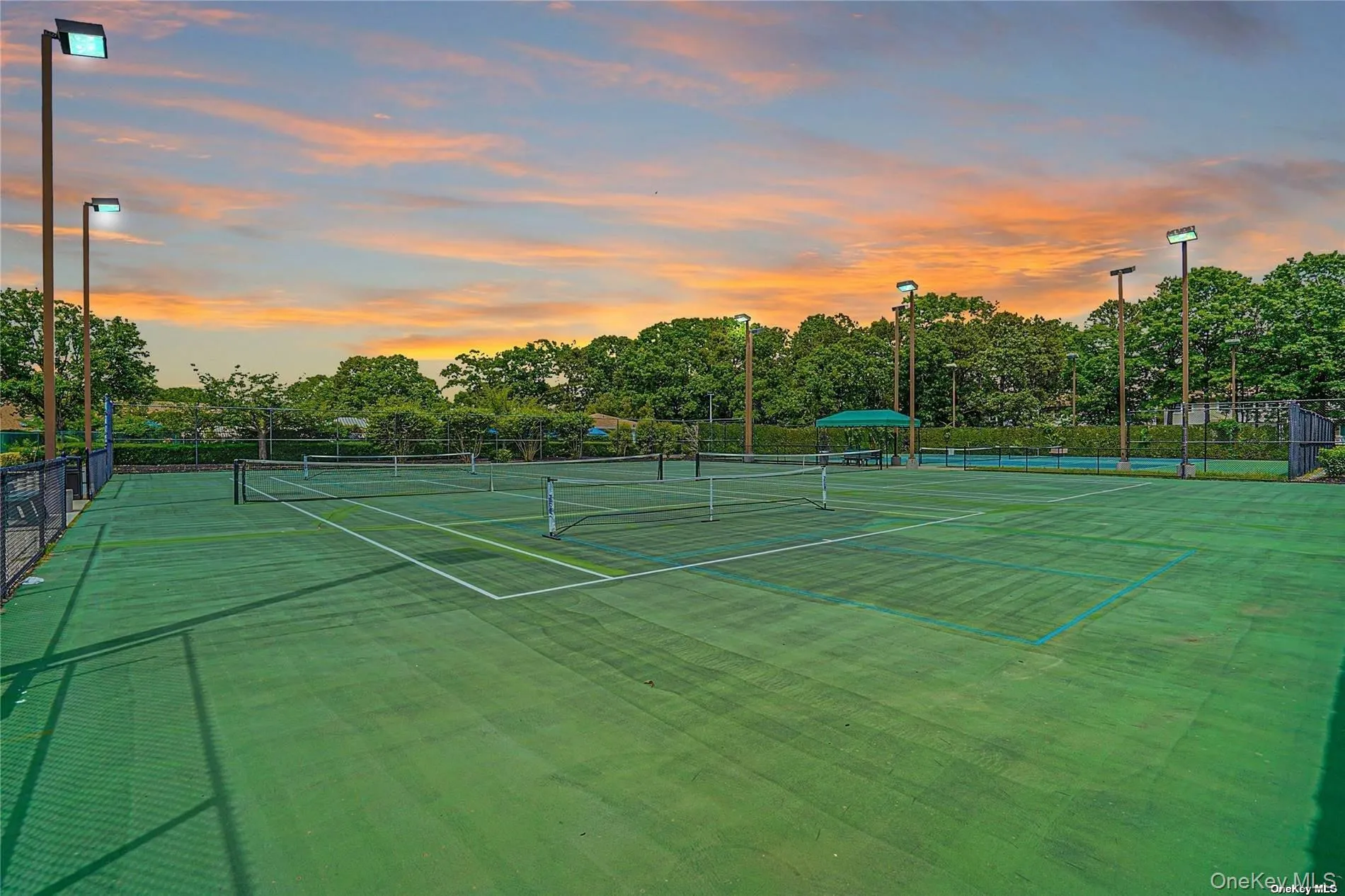 Tennis Tennis