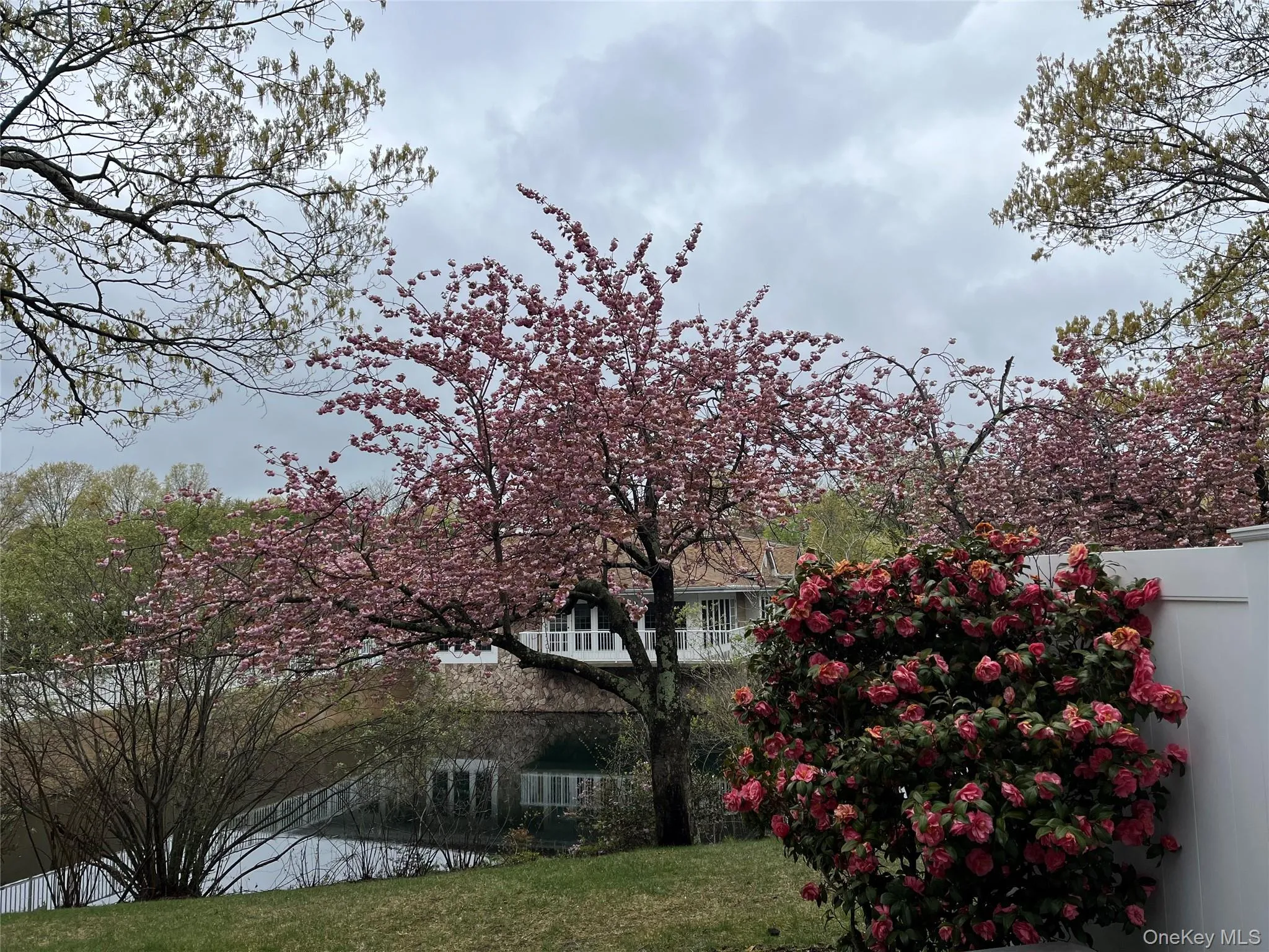 132 Fairfield Drive, Islip, NY, 3 Bedrooms Bedrooms, 6 Rooms Rooms,2 BathroomsBathrooms,Residential Lease,For Rent,Fairfield,0,994378 132 Fairfield Drive, Islip, NY, 3 Bedrooms Bedrooms, 6 Rooms Rooms,2 BathroomsBathrooms,Residential Lease,For Rent,Fairfield,0,994378