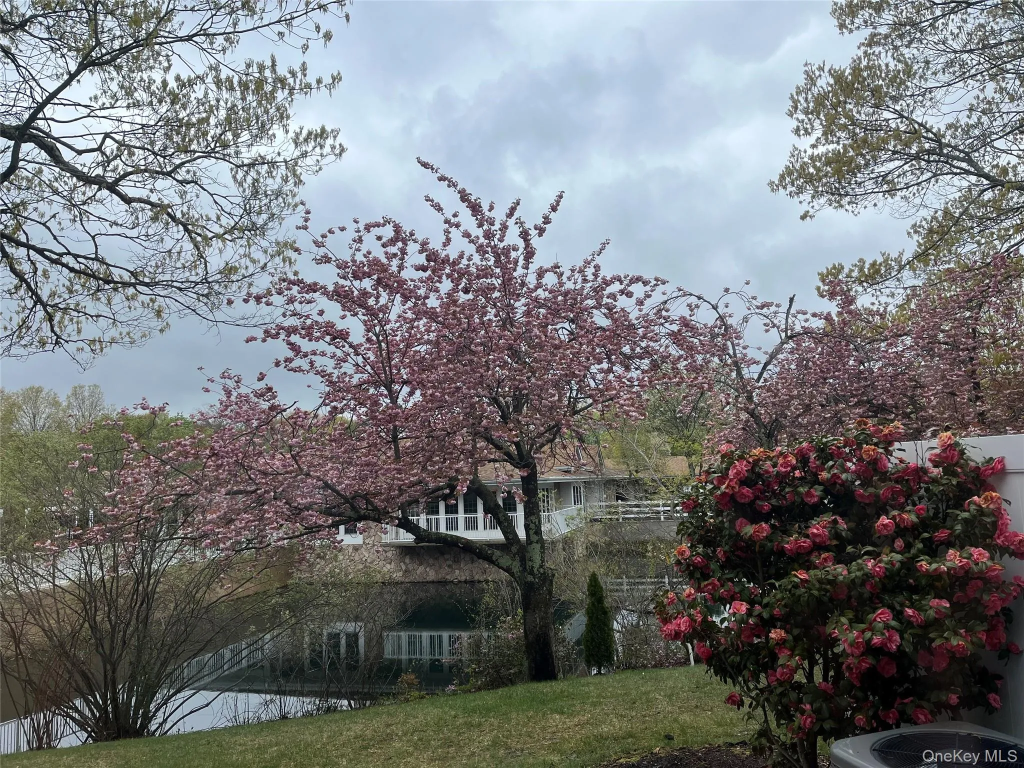 132 Fairfield Drive, Islip, NY, 3 Bedrooms Bedrooms, 6 Rooms Rooms,2 BathroomsBathrooms,Residential Lease,For Rent,Fairfield,0,994378 132 Fairfield Drive, Islip, NY, 3 Bedrooms Bedrooms, 6 Rooms Rooms,2 BathroomsBathrooms,Residential Lease,For Rent,Fairfield,0,994378
