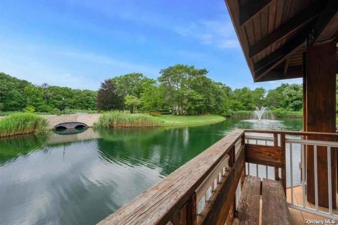 Pond Pond