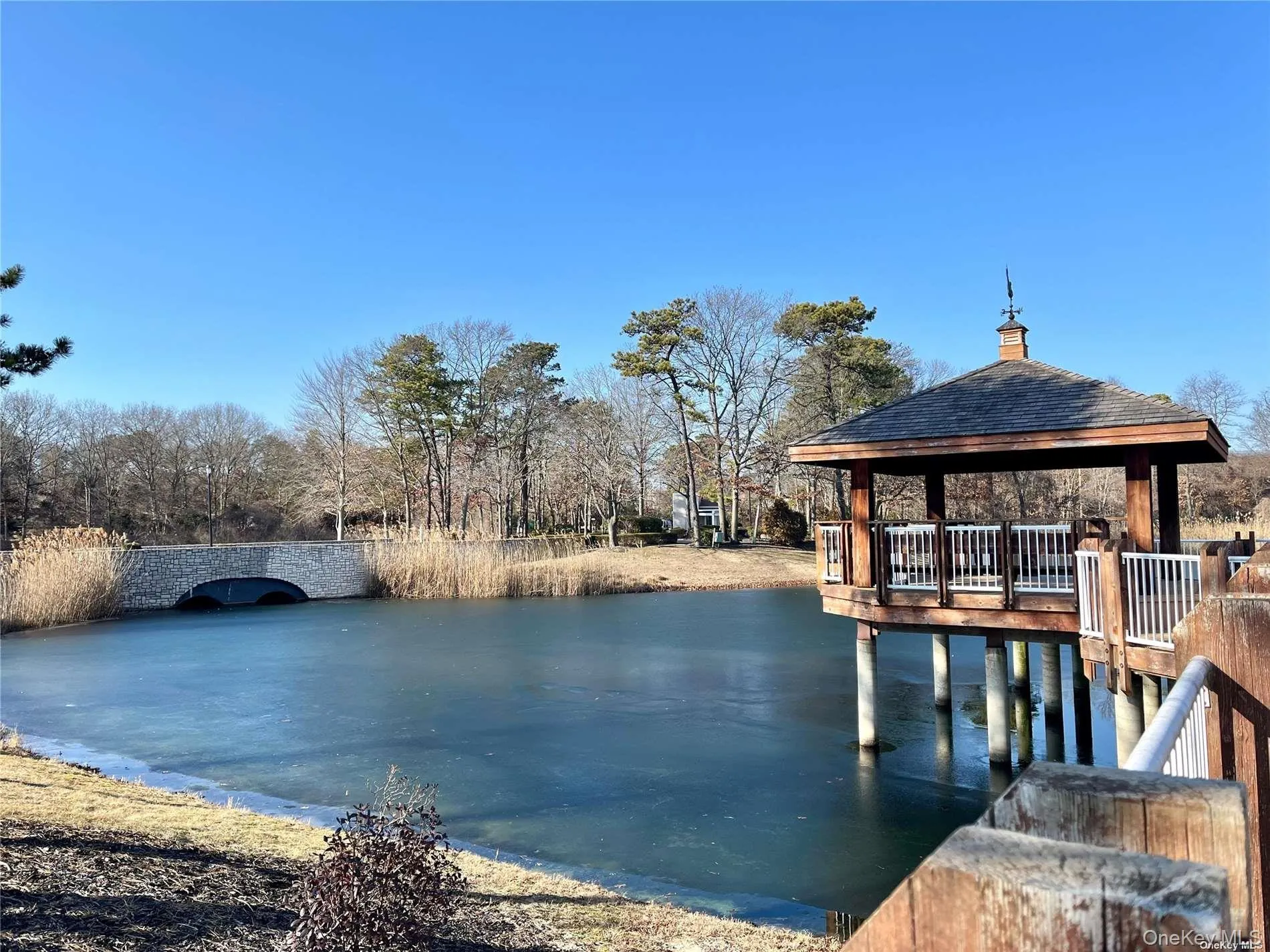 Pond Pond