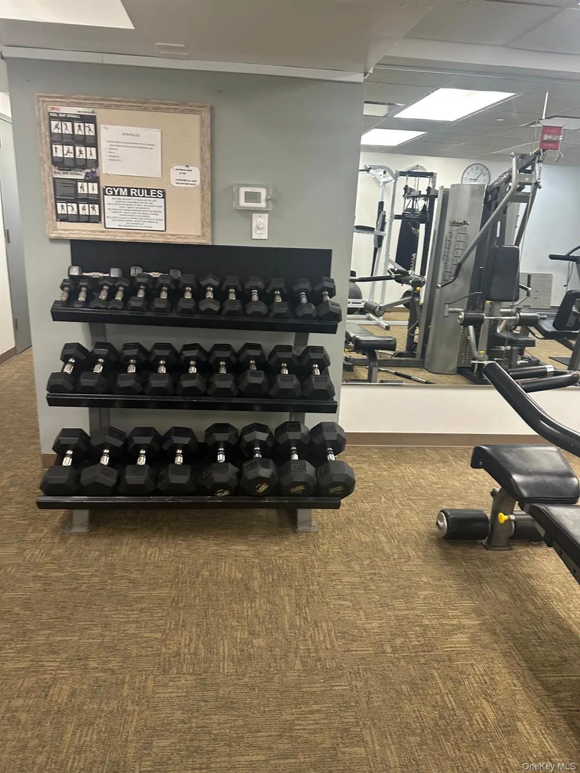 543 Main Street, New Rochelle, NY, 2 Bedrooms Bedrooms, 4 Rooms Rooms,2 BathroomsBathrooms,Residential Lease,For Rent,Main,0,994488 543 Main Street, New Rochelle, NY, 2 Bedrooms Bedrooms, 4 Rooms Rooms,2 BathroomsBathrooms,Residential Lease,For Rent,Main,0,994488